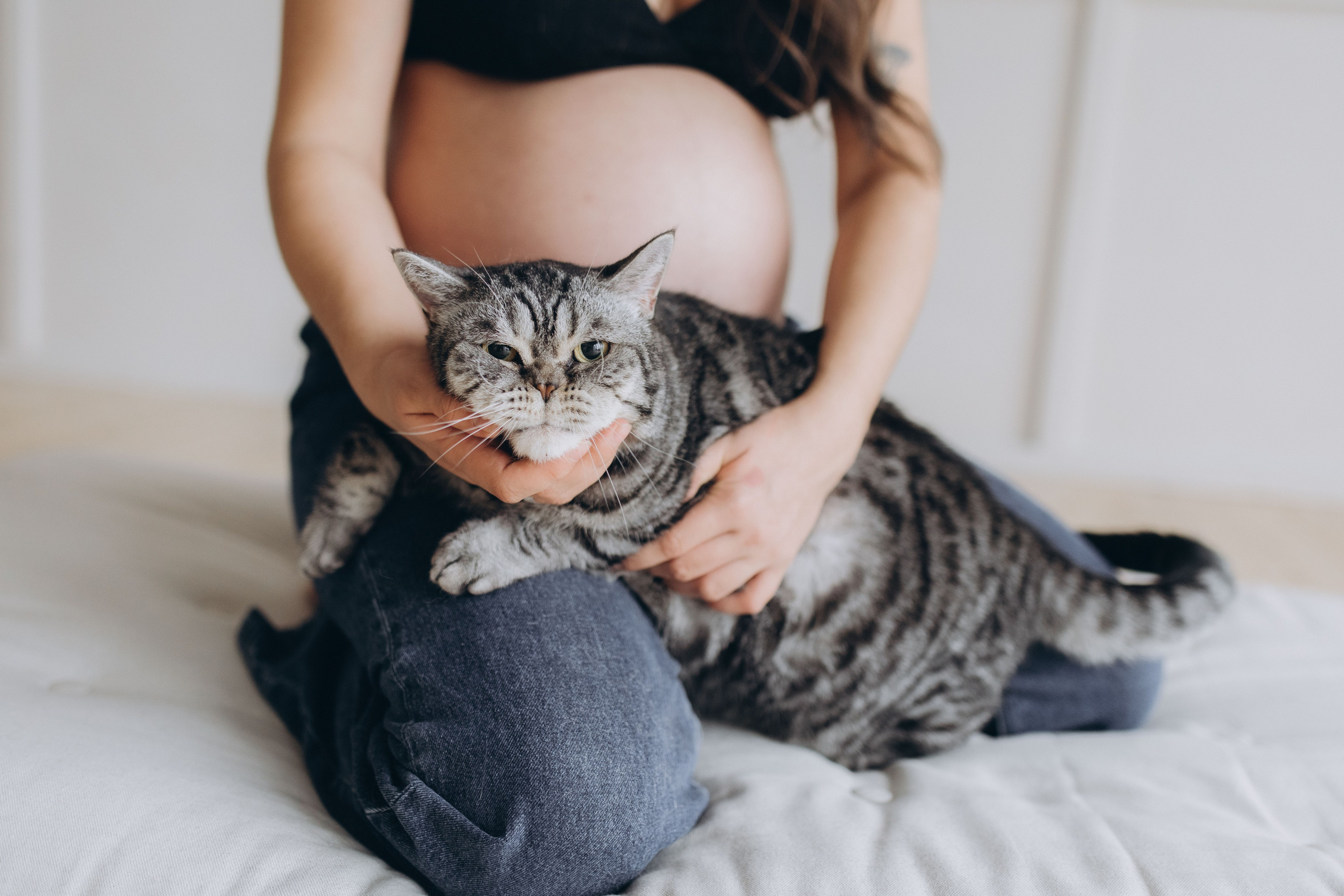 Pregnant Story. Main