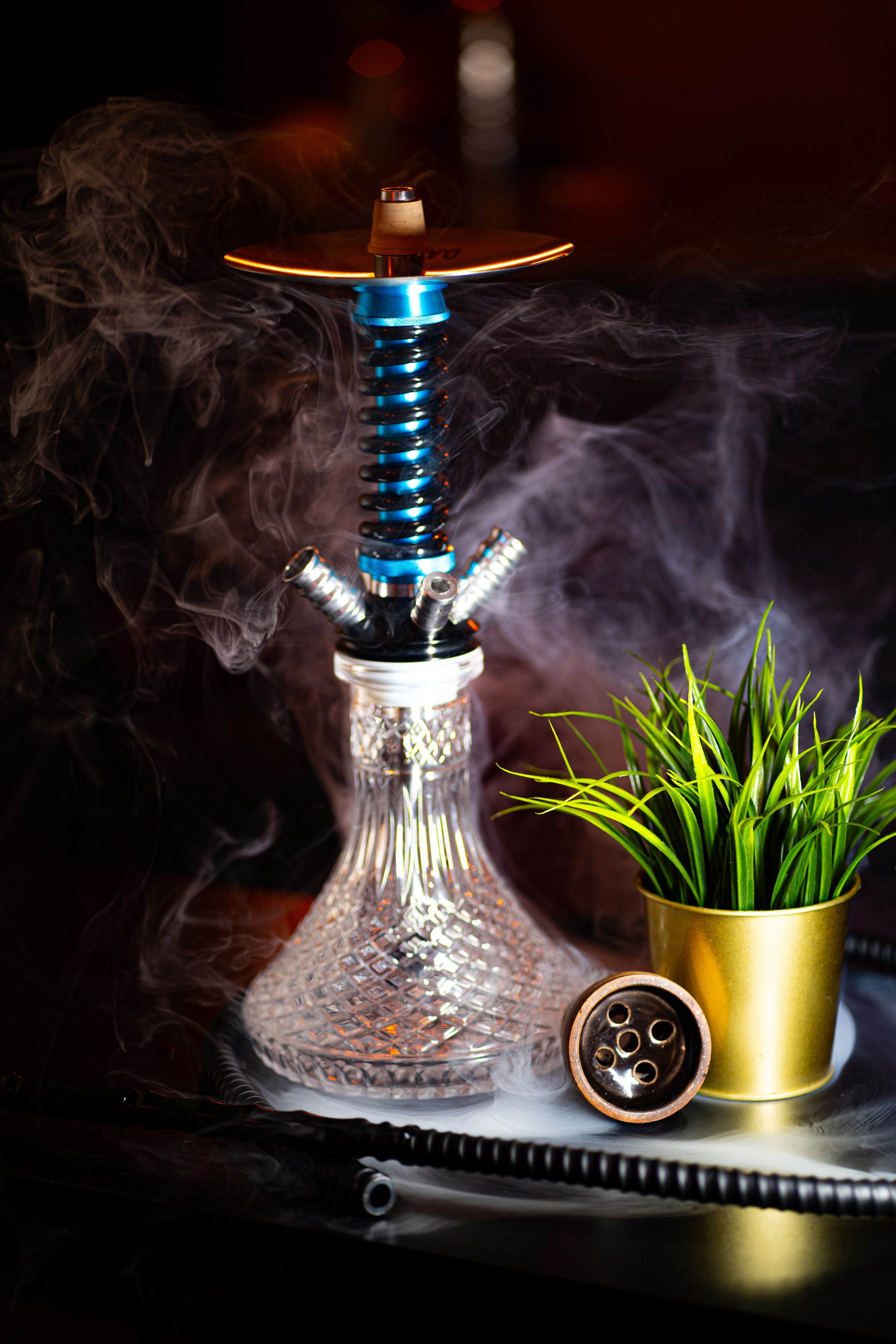 PRODUCT CONTENT. Baby Beast