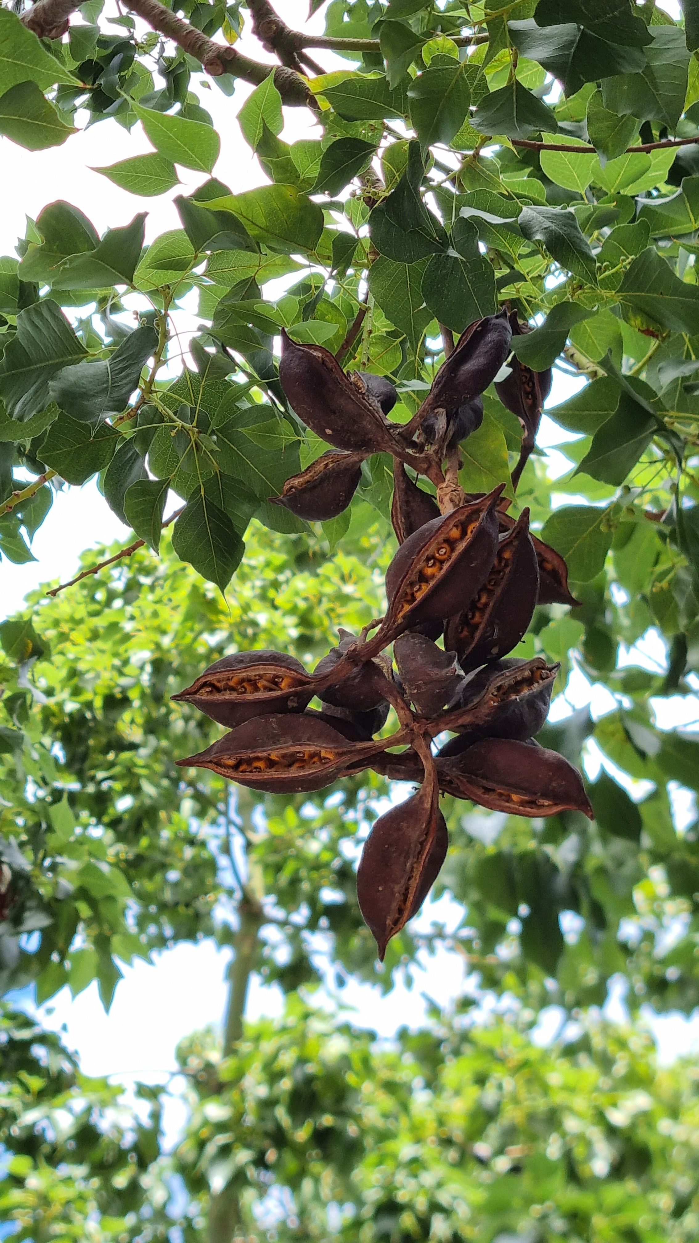 Gran Canaria 2024. Марина фотограф из Нюрнберга