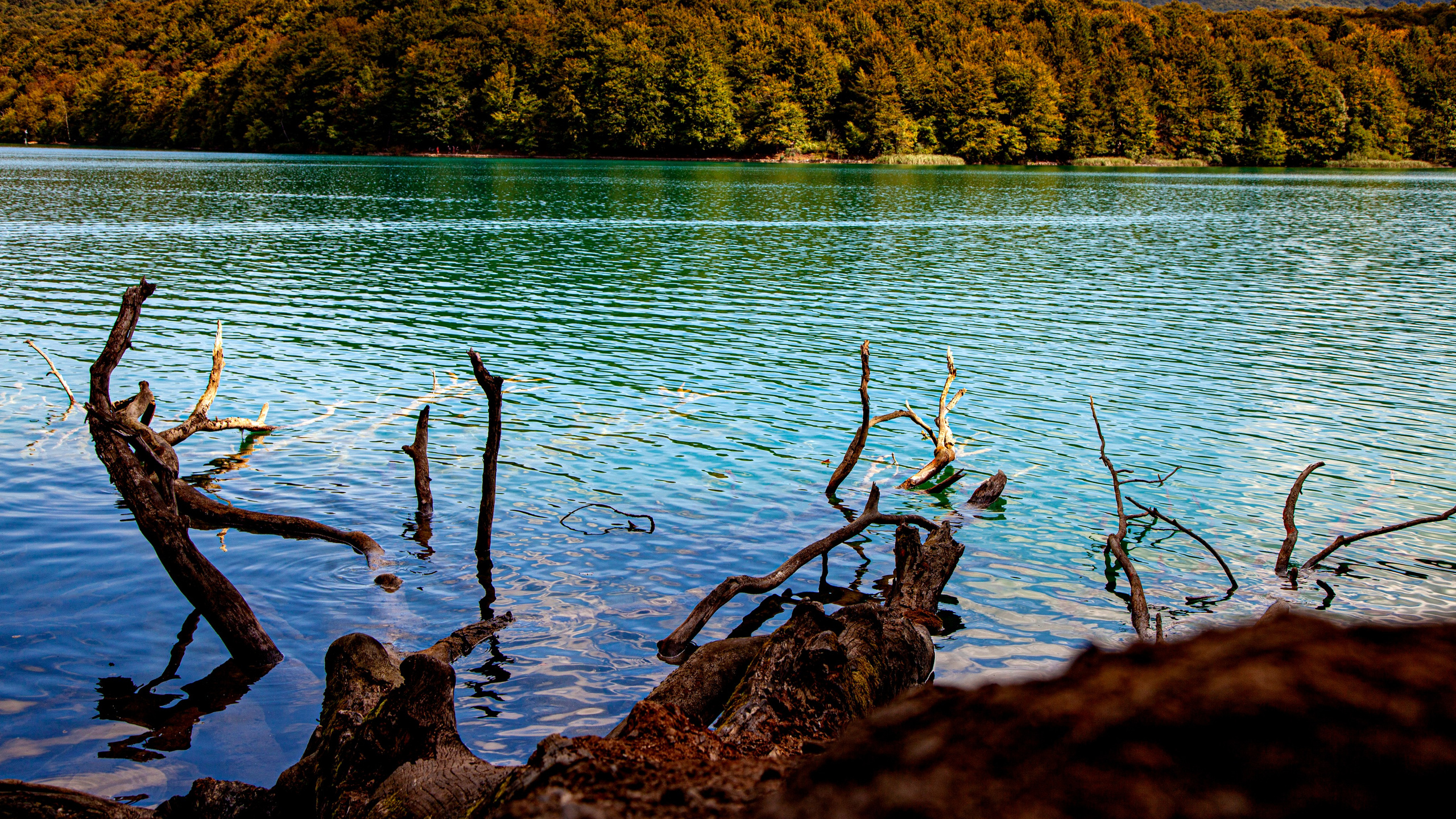 161.Plitvice lakes.17.9.2023. Путешествия в формате 360......