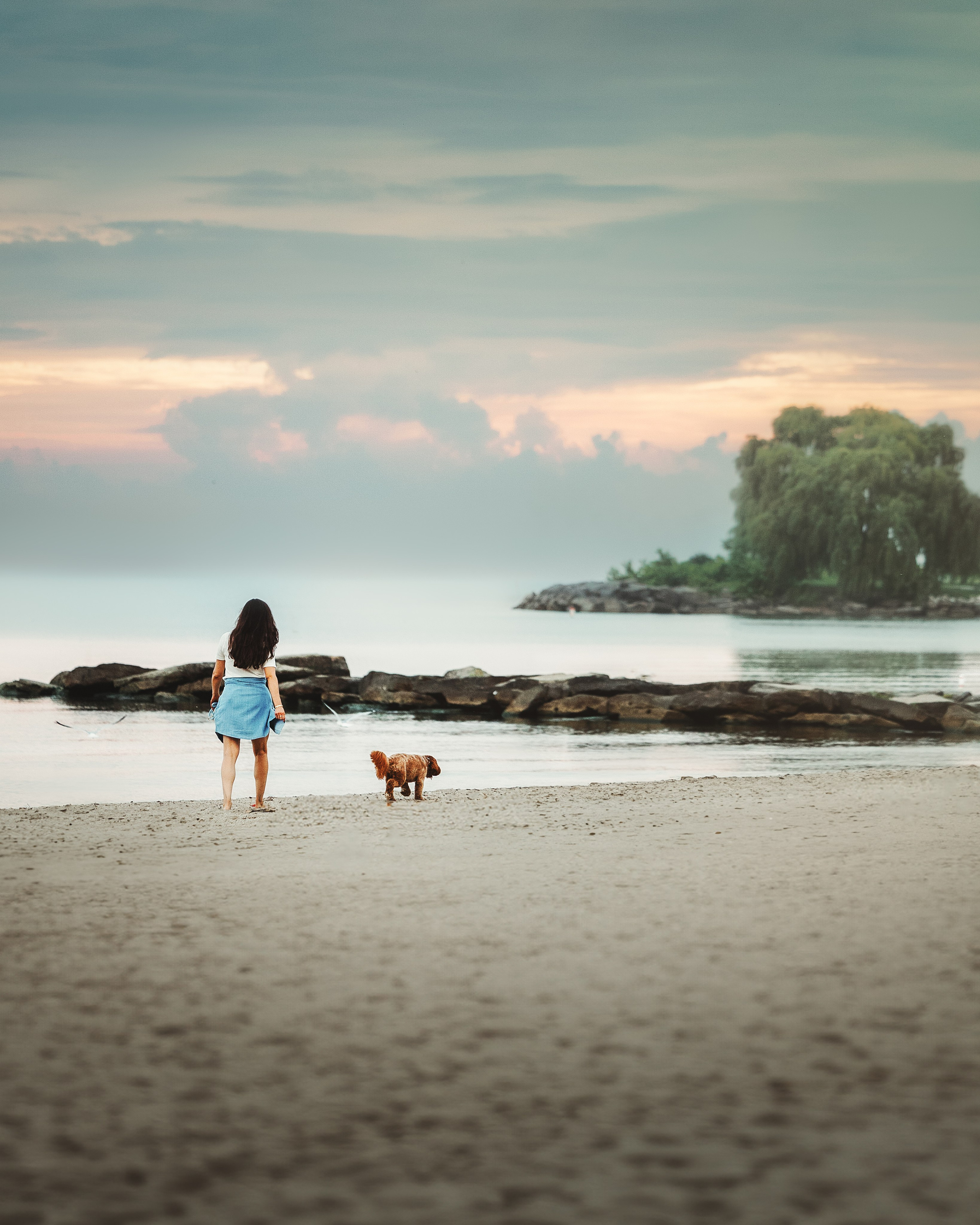 Howie & Callie. Pet Photographer Viktoriya Aleshenko