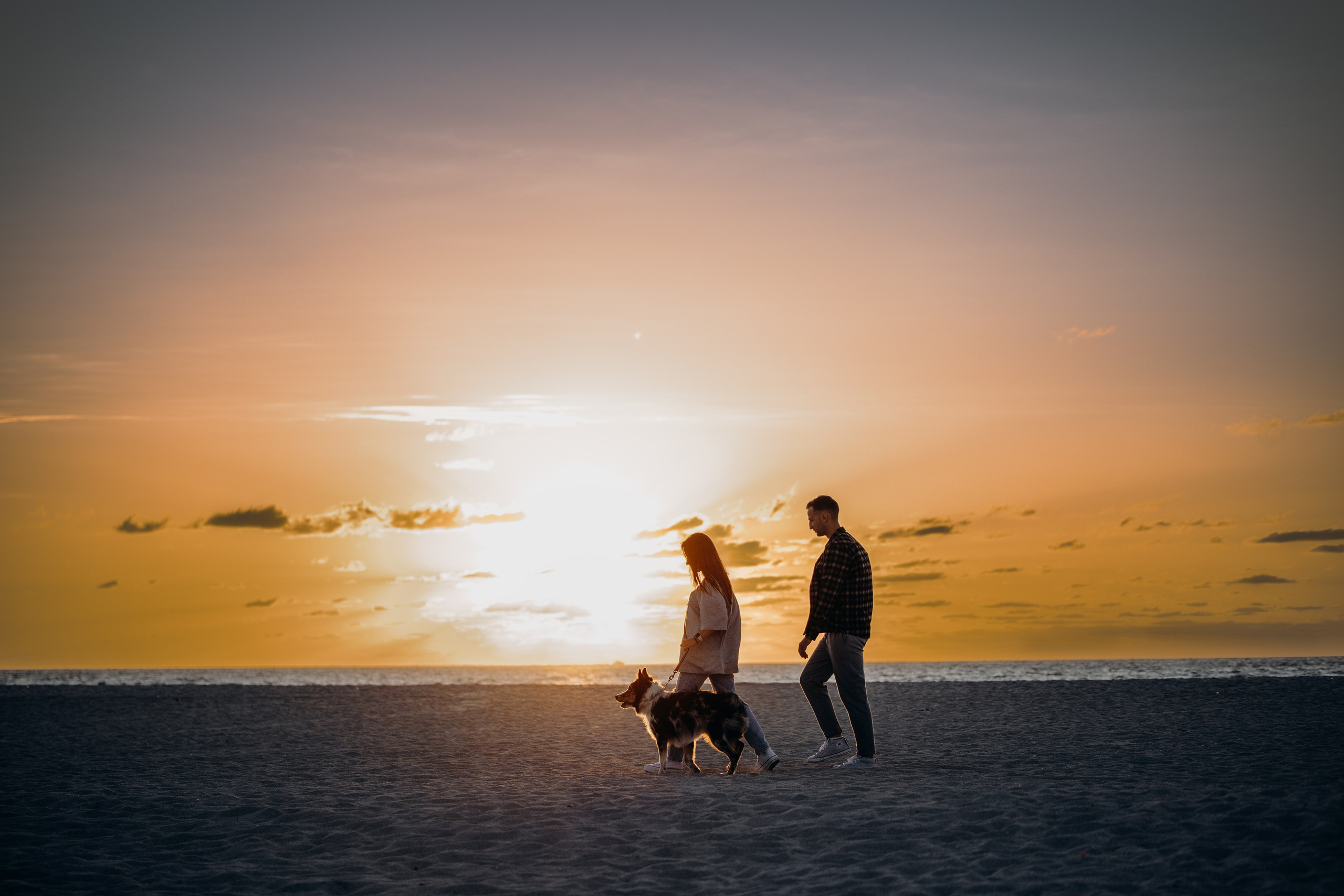 Gru, Marta & Vladimir. Pet Photographer Viktoriya Aleshenko