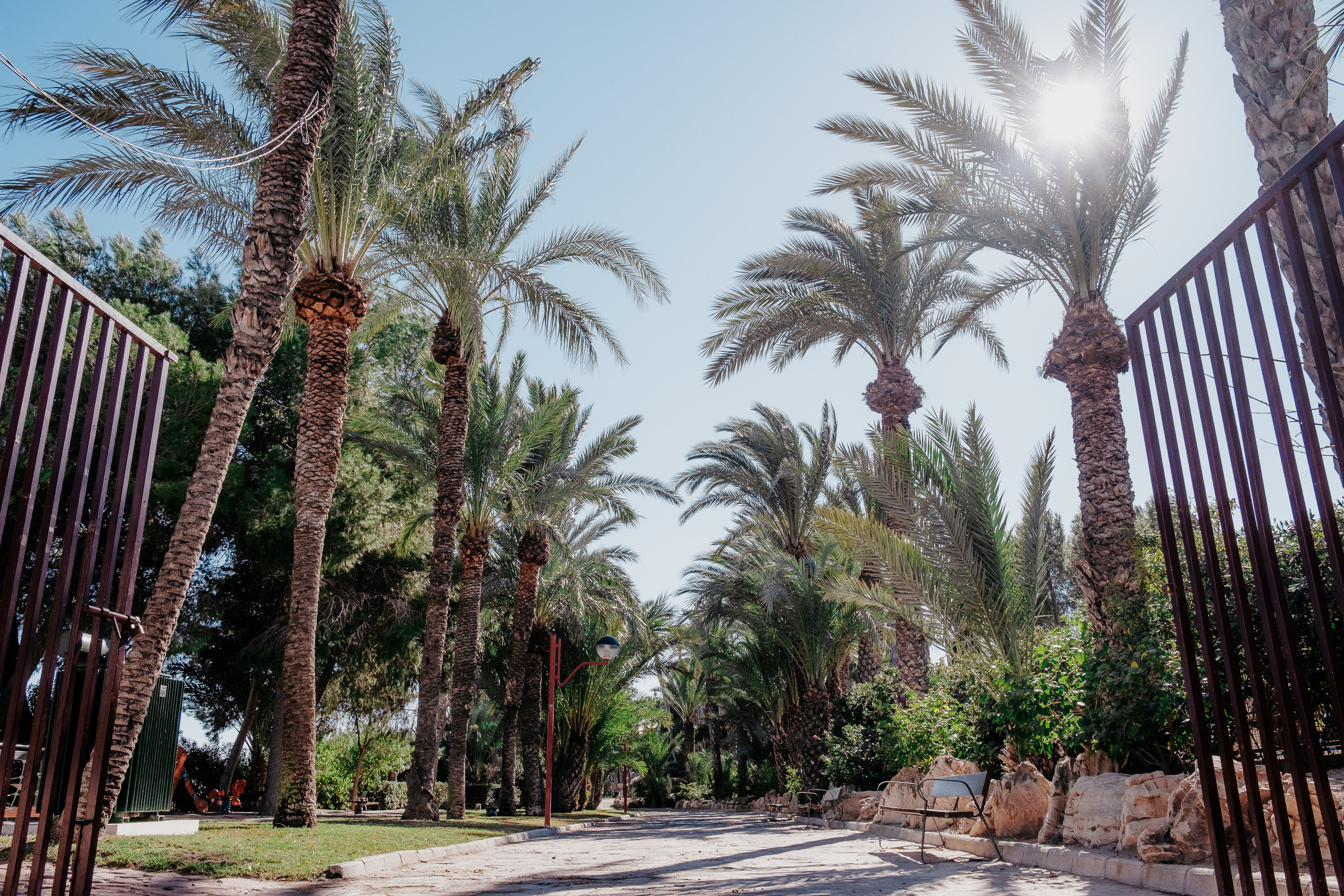 Albatera (Альбатера)