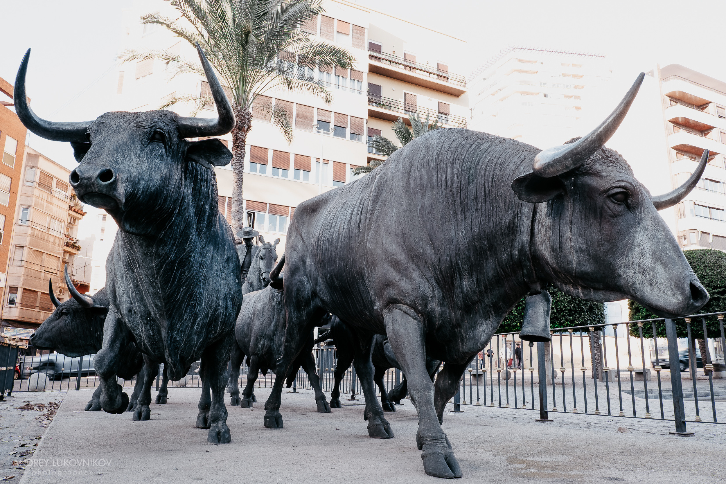 Museo Taurino (Музей боя быков)