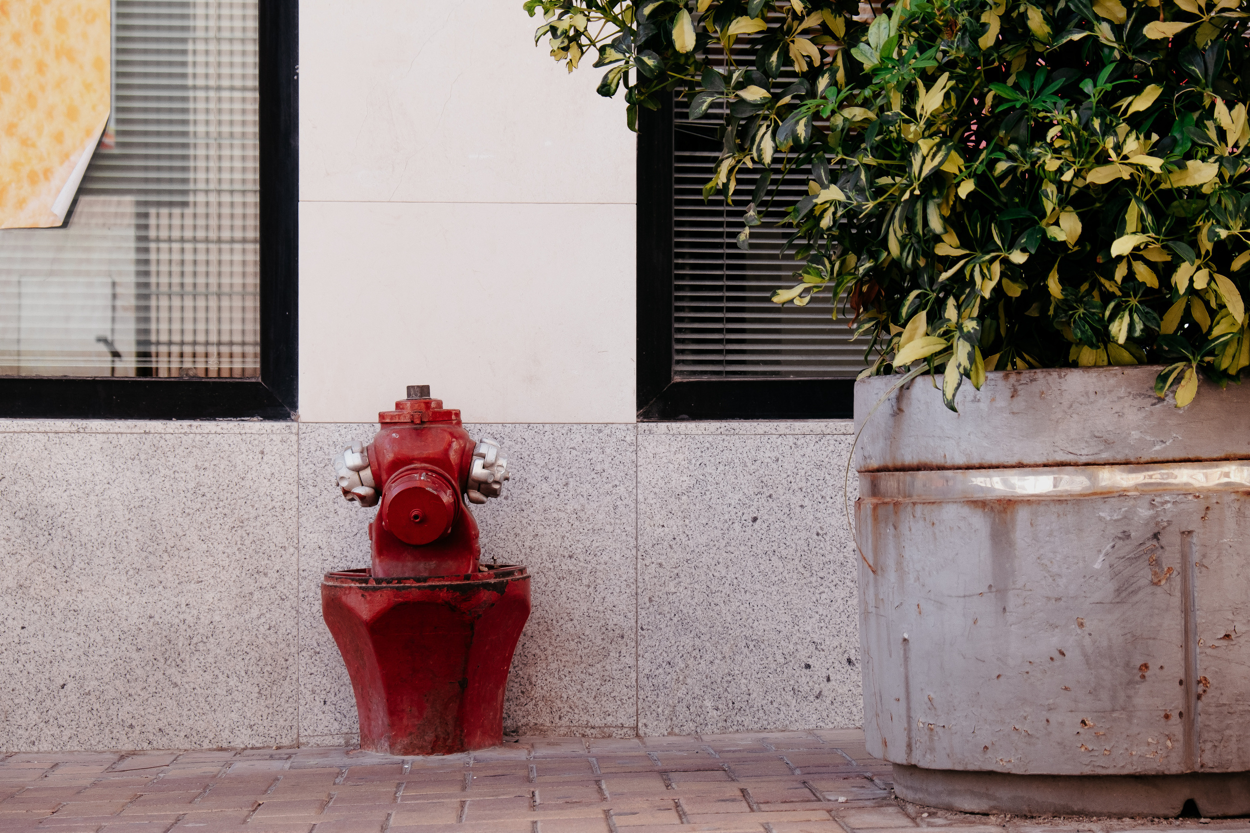 Albatera (Альбатера)