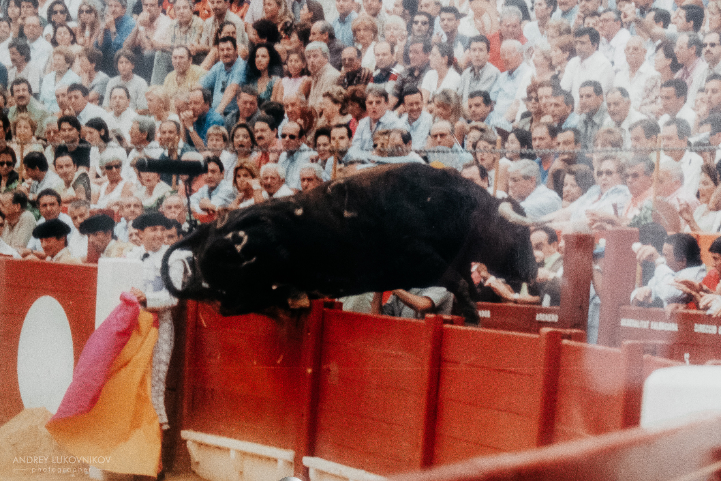 Museo Taurino (Музей боя быков)