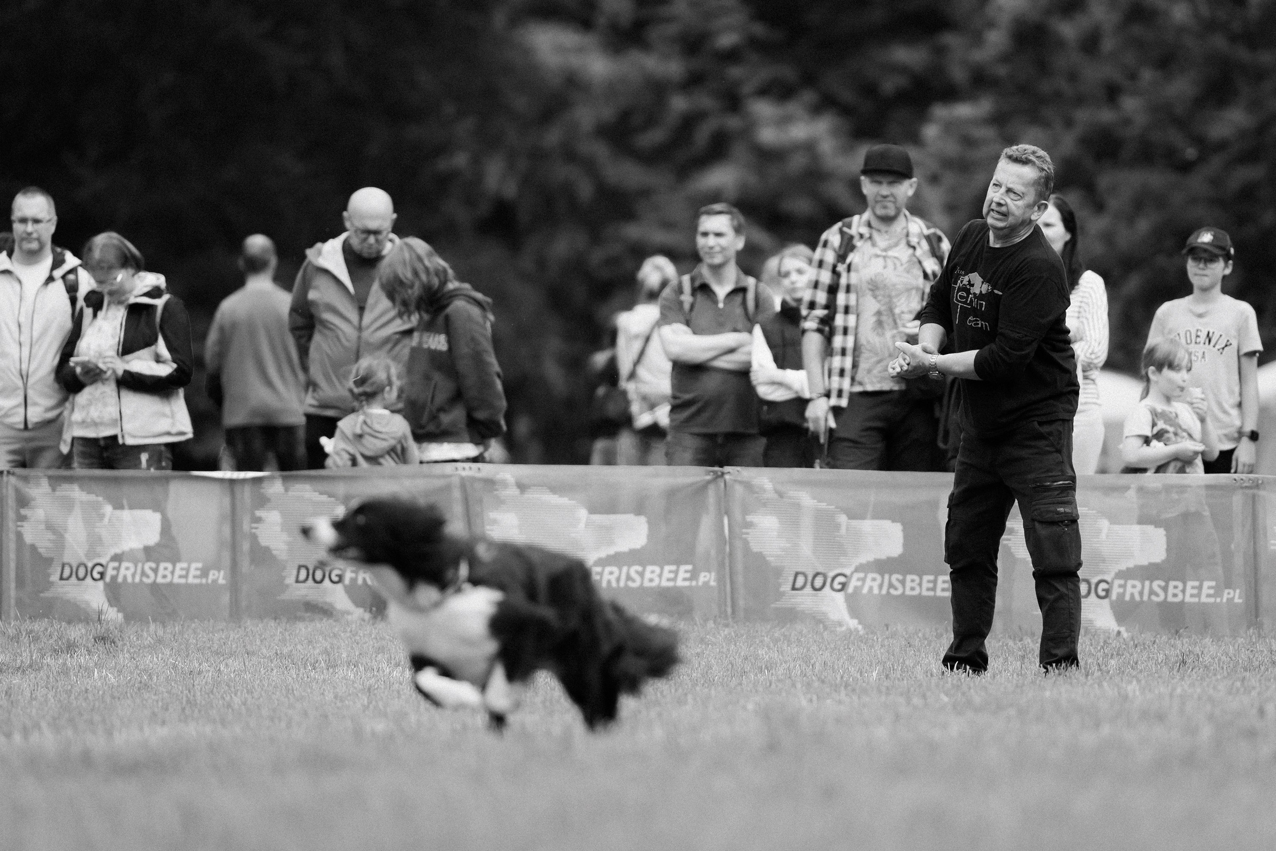 Latające psy, Wrocław'25. Kaja | fotograf psów we Wrocławiu