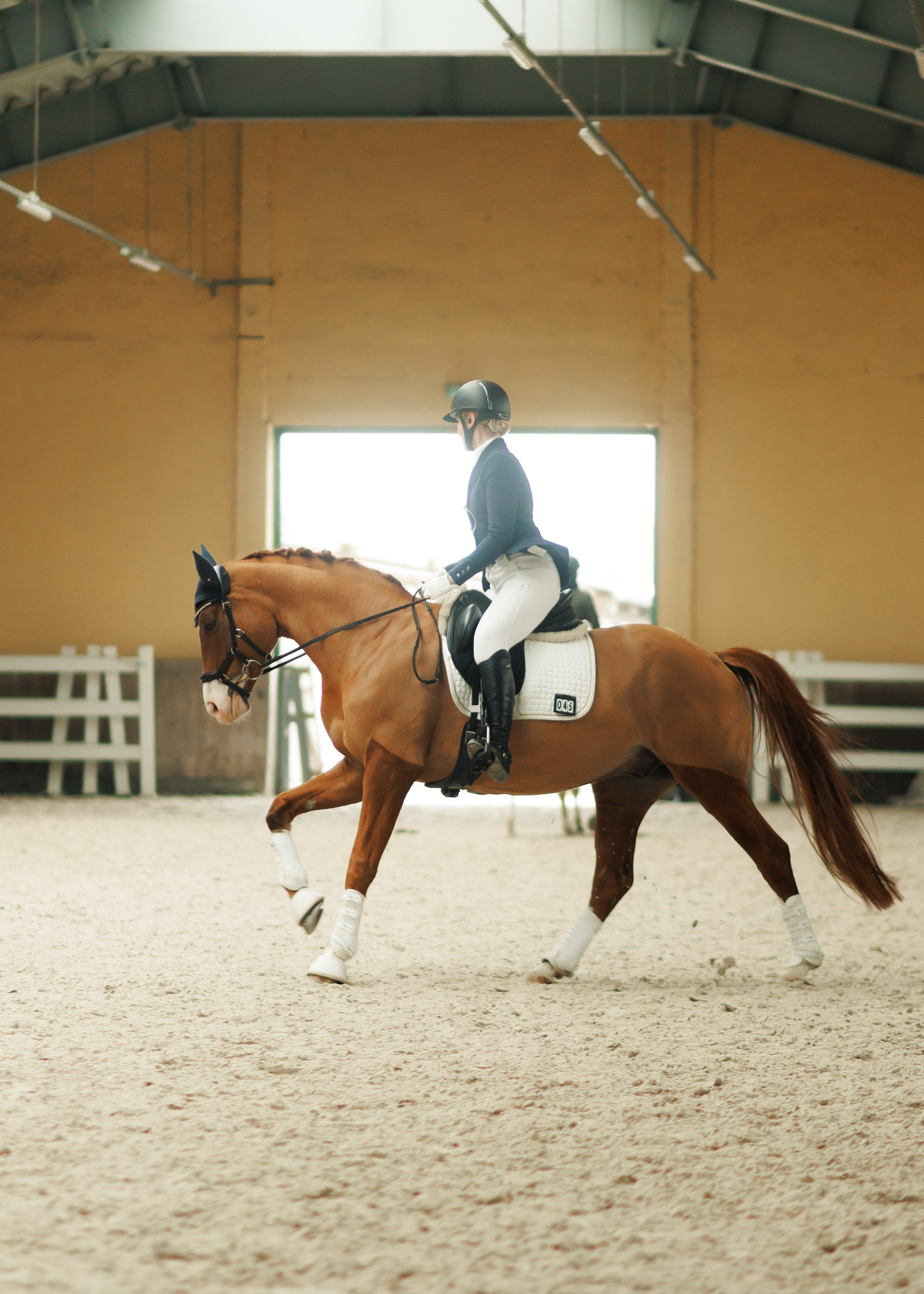 Partynice dressage \ feb'25. Kaja | fotograf we Wrocławiu | ludzie i psy