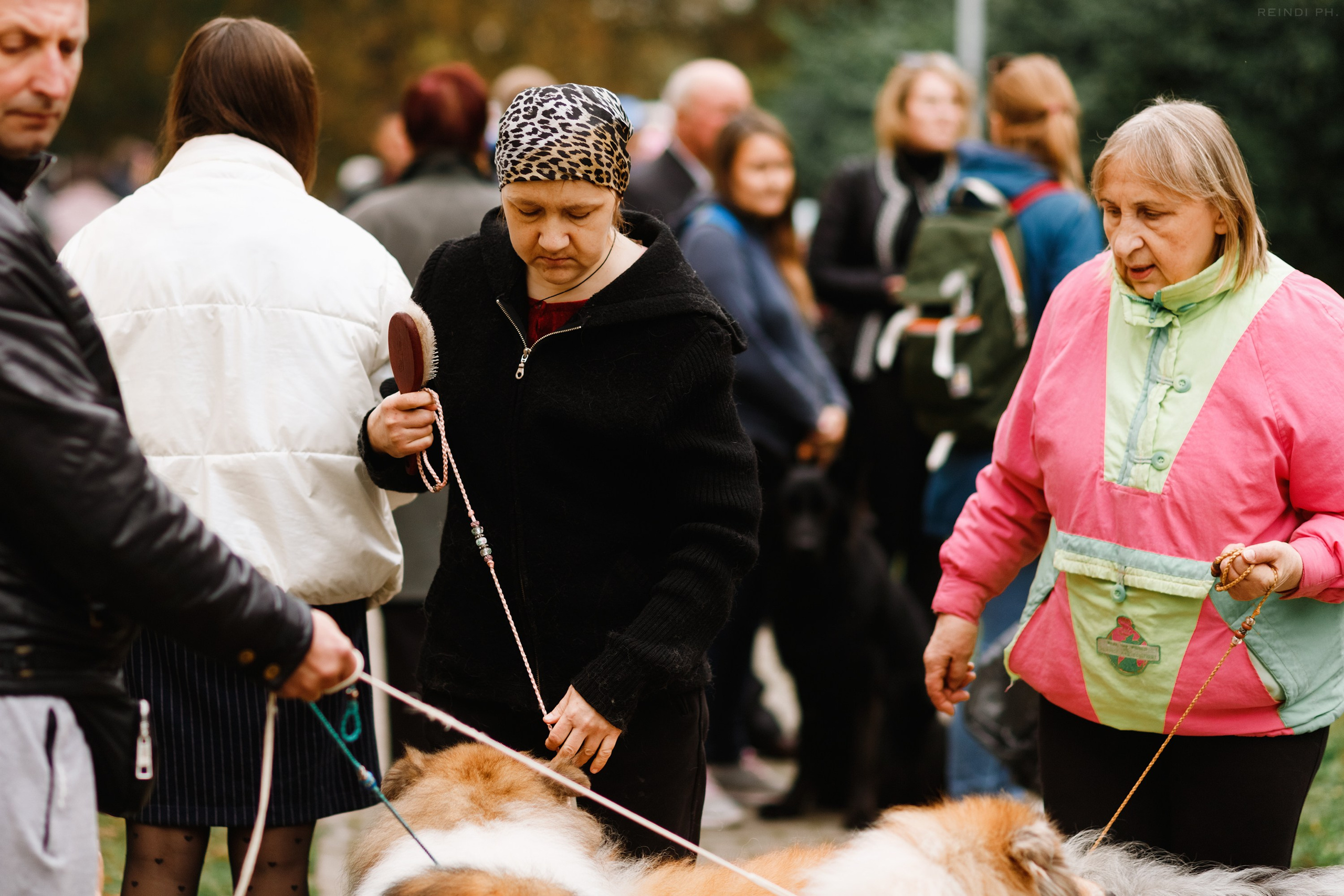«Argus» dog show in Brest. Kaja | fotograf we Wrocławiu | ludzie i psy