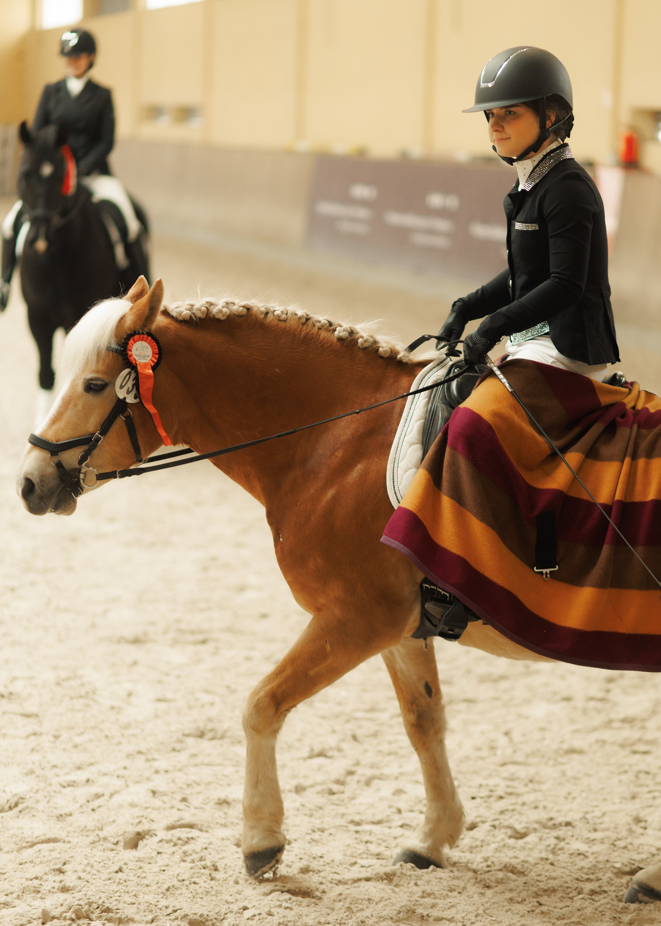 Fotografia koni Wrocław \ ujeżdżenie, Partynice. Kaja | fotograf we Wrocławiu | ludzie i psy