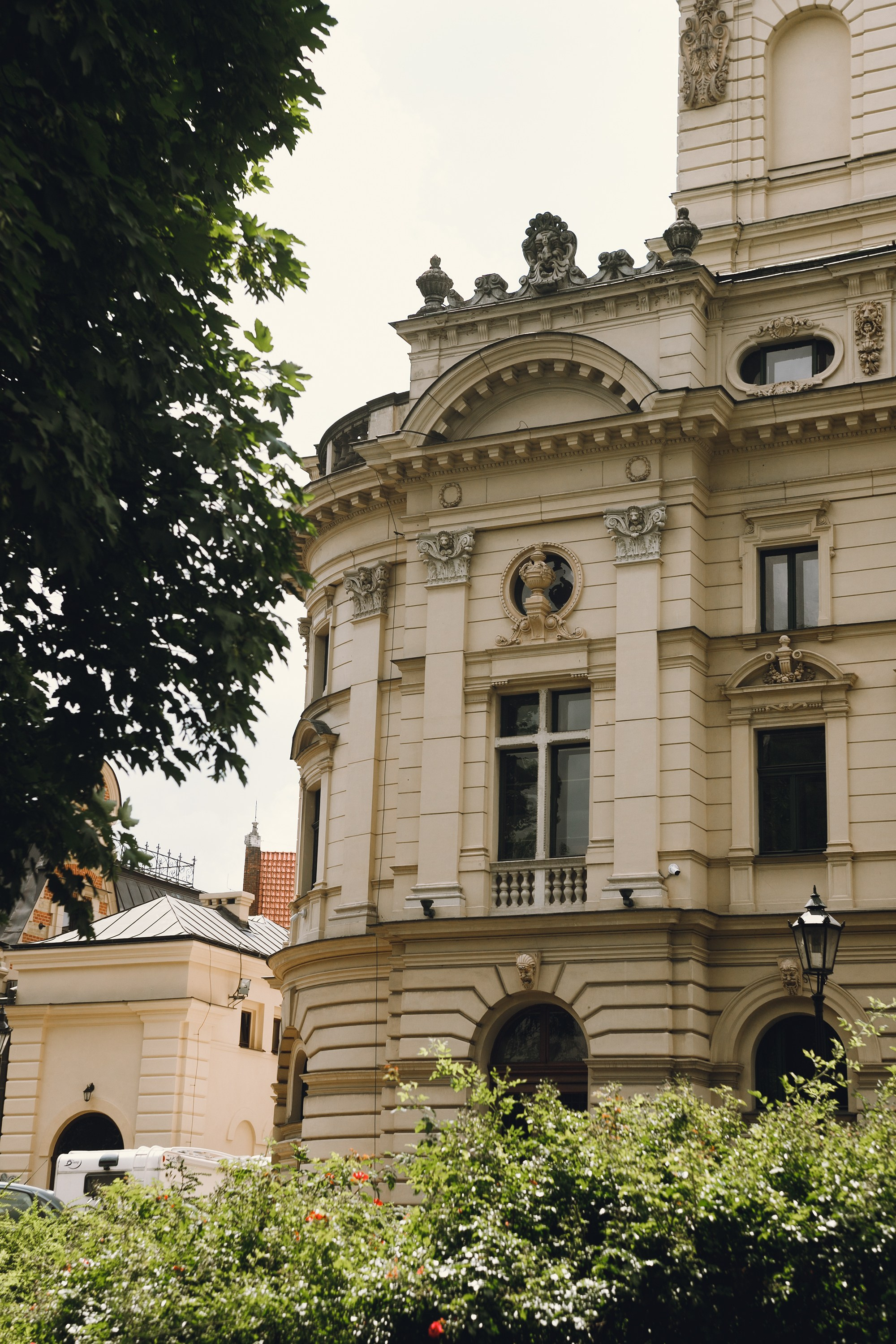 Krakow. Kaja | fotograf psów we Wrocławiu