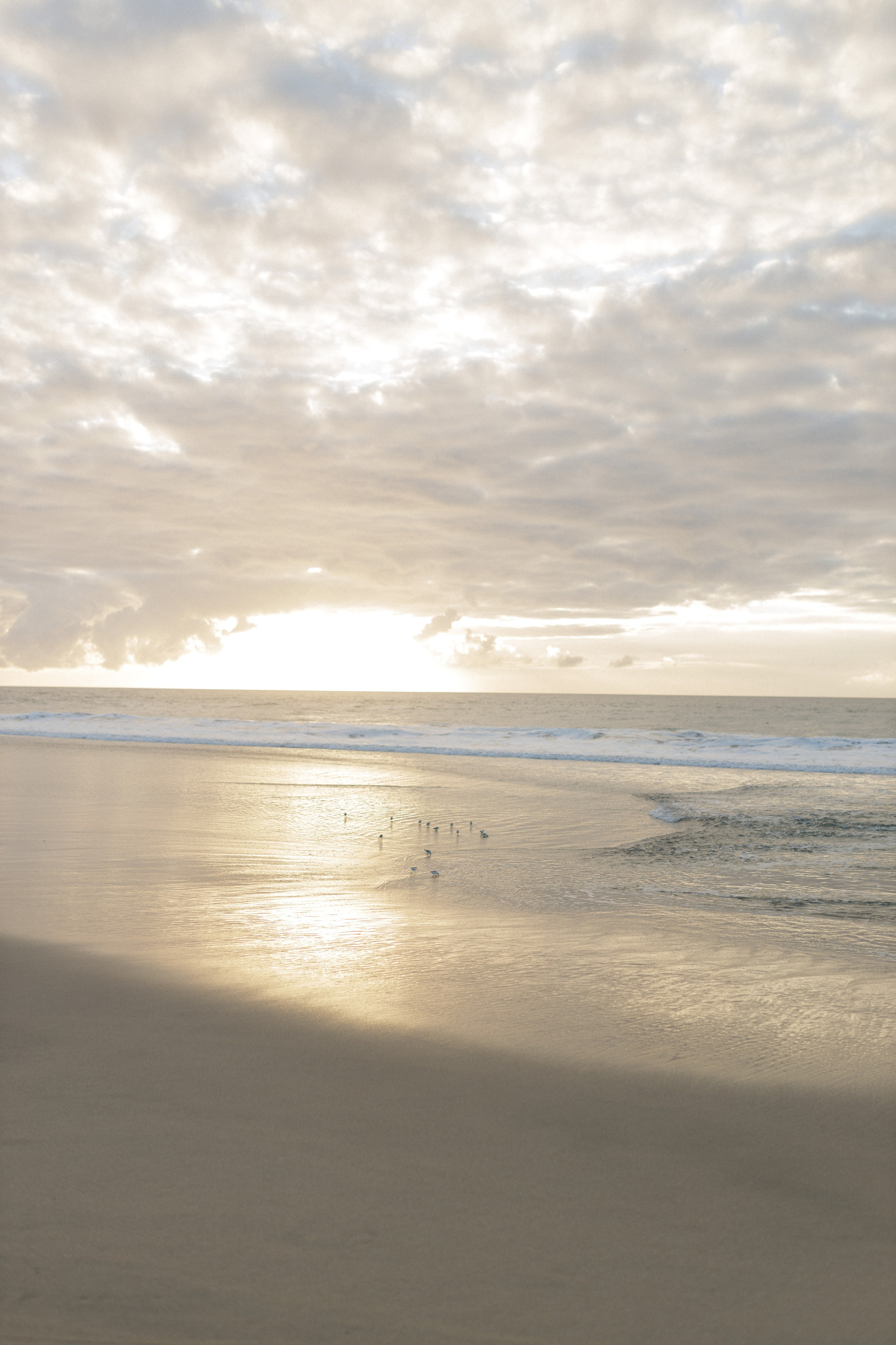 Wild Beauty on the Californian Beach. Maternity, newborn photographer in the Bay Area|Iryna Rakivnenko