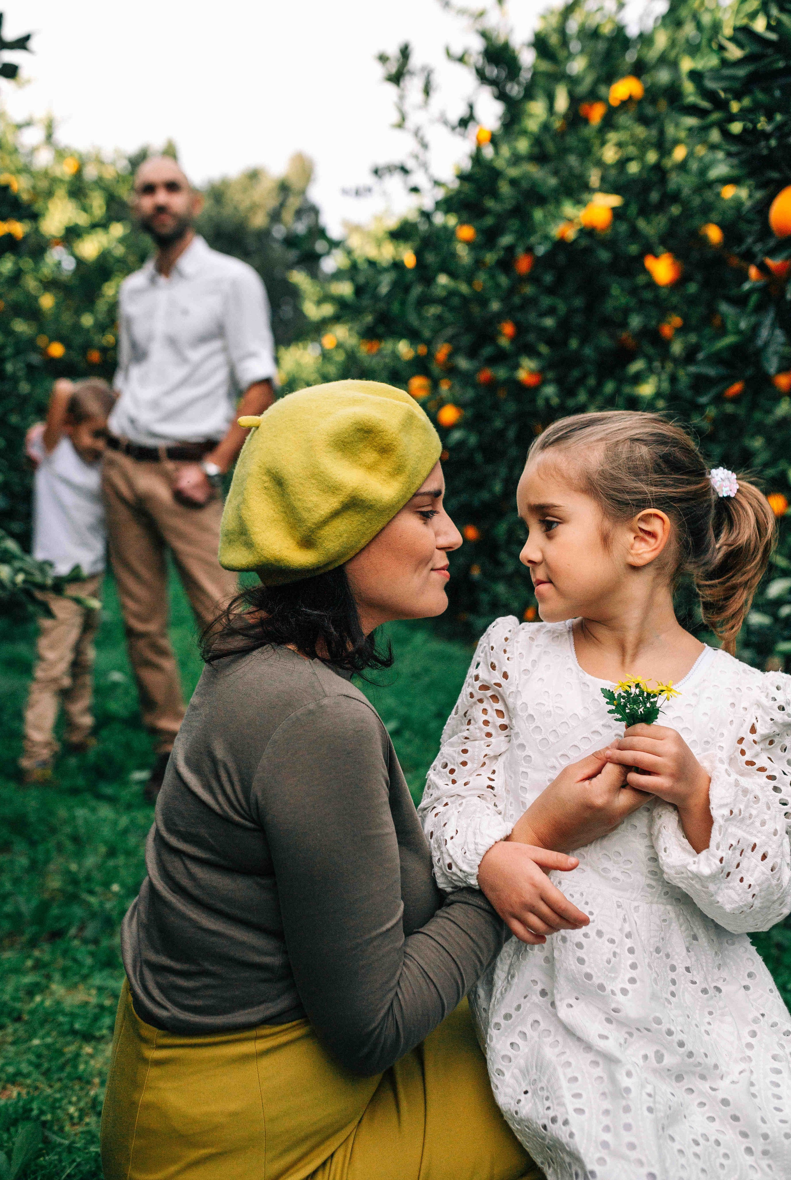 MANDARNINE GARDEN. Https://shi-photo.com/