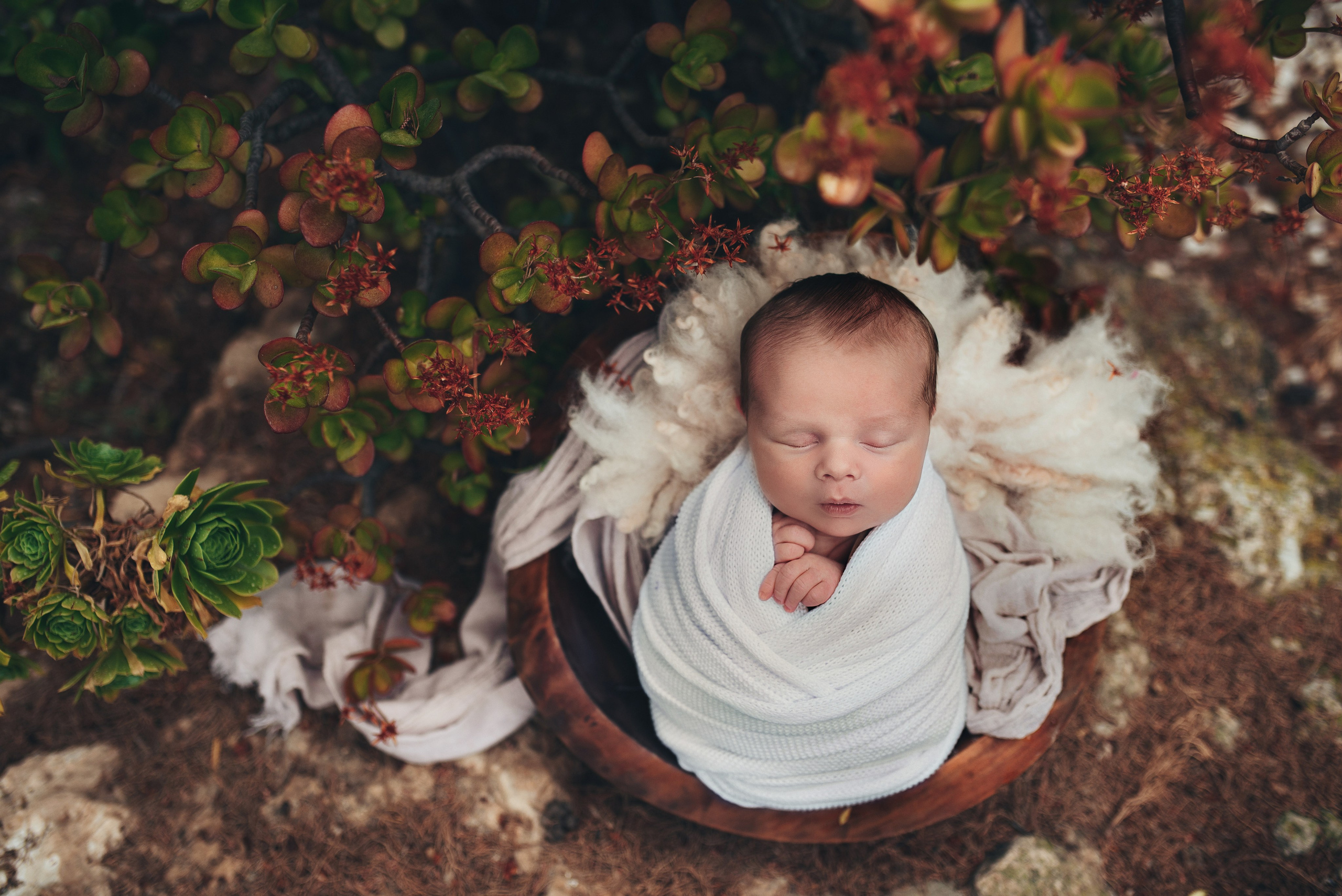 Naturaleza. Https://newbornphoto.wfolio.pro/me