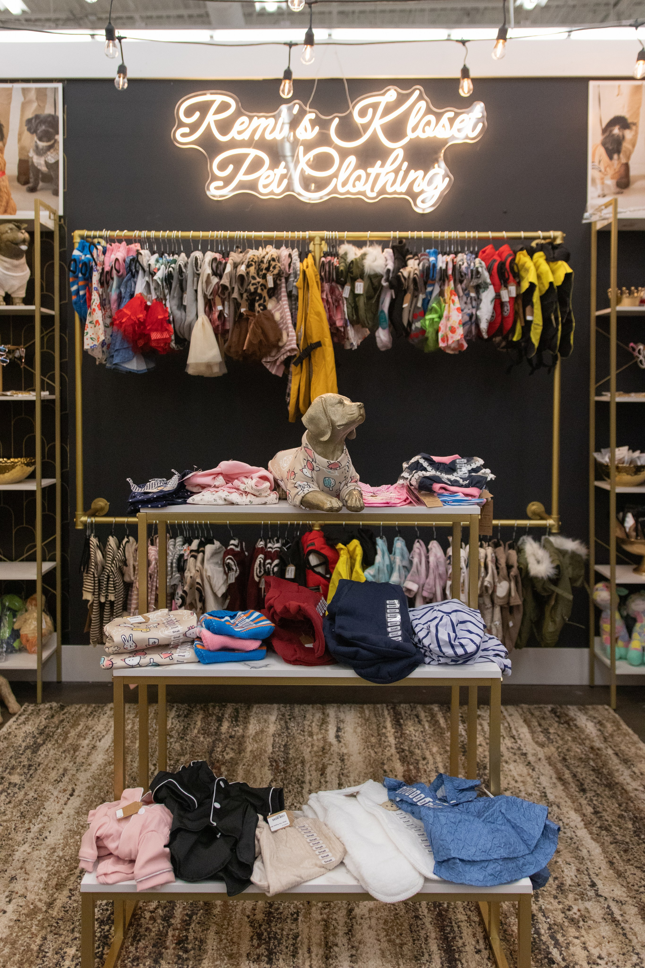 Painted Tree Boutiques winter 2026 retail collection photoshoot in Round Rock