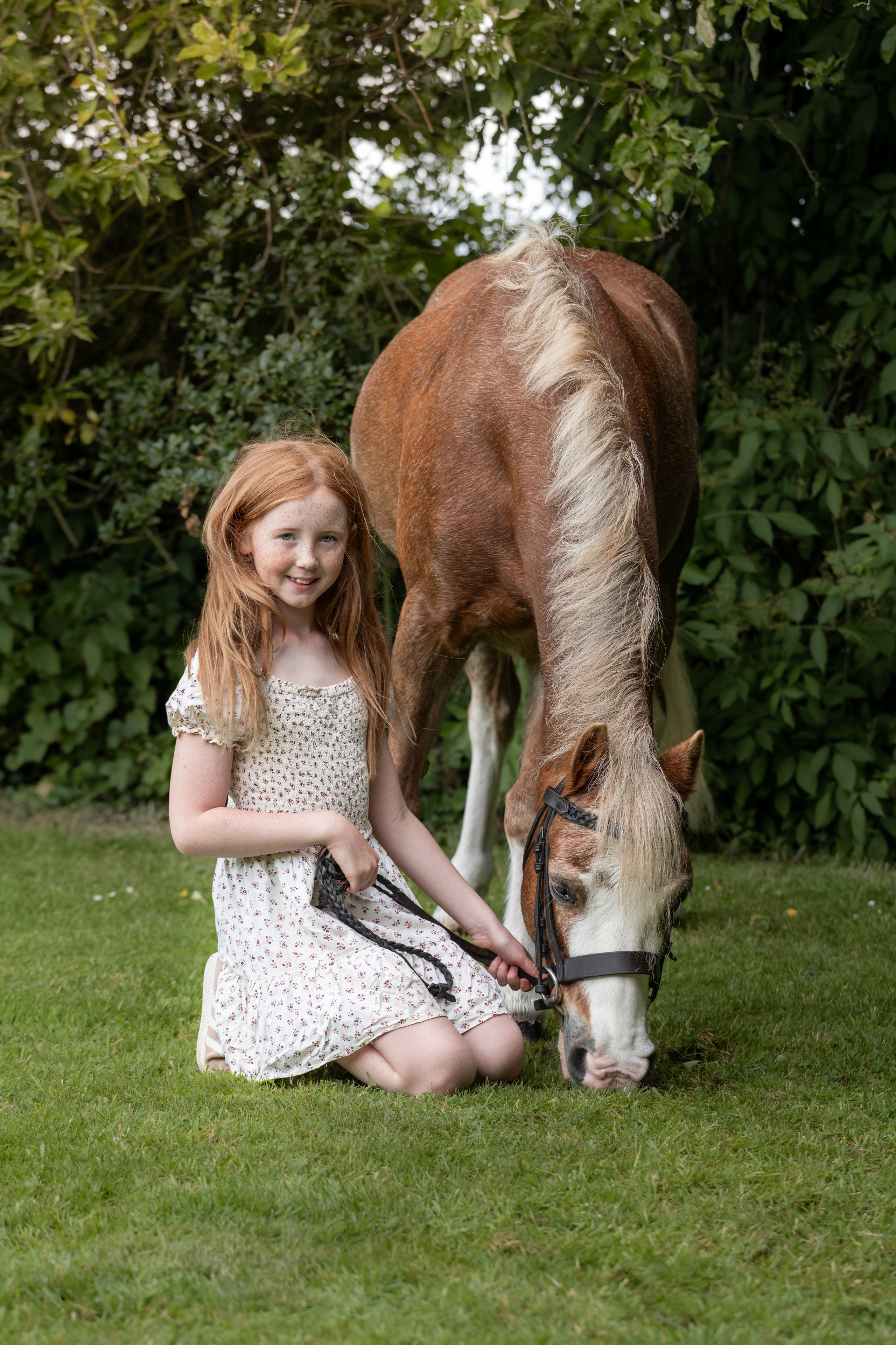 Equine Photography Portfolio | Leicestershire Horse Portrait Photographer. Leicestershire Equine Photography by El | Authentic Equine Portraits & Events