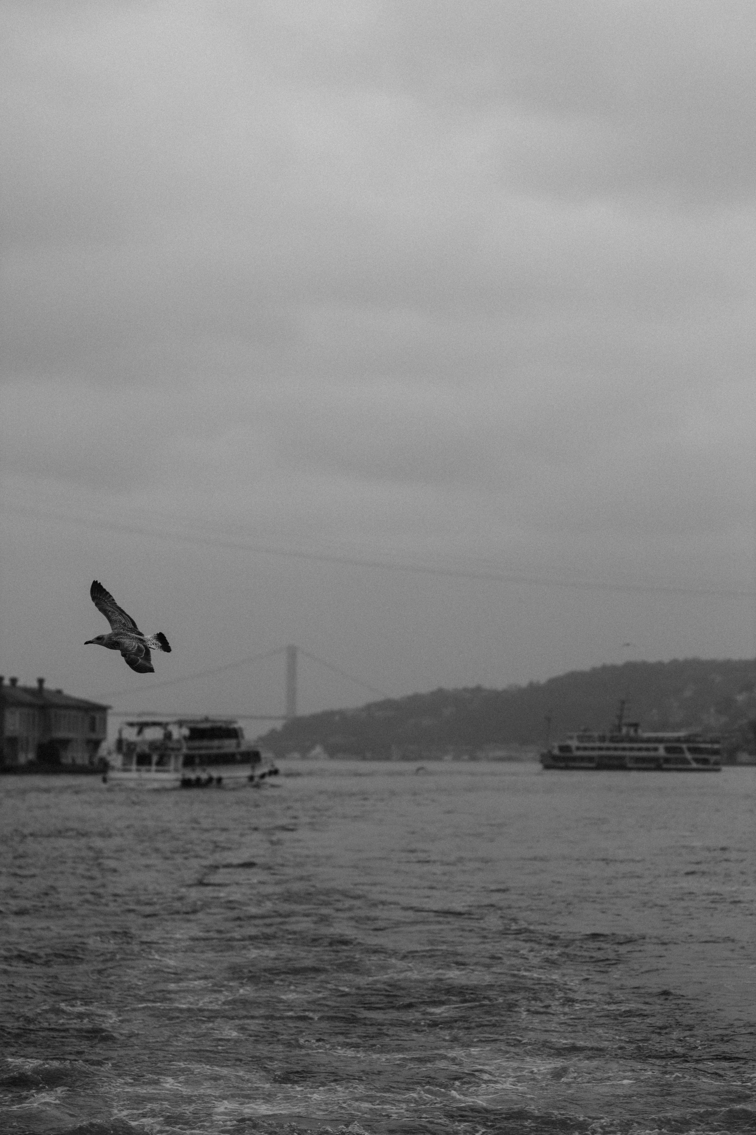 Стамбул. Фотопрогулки в Стамбуле