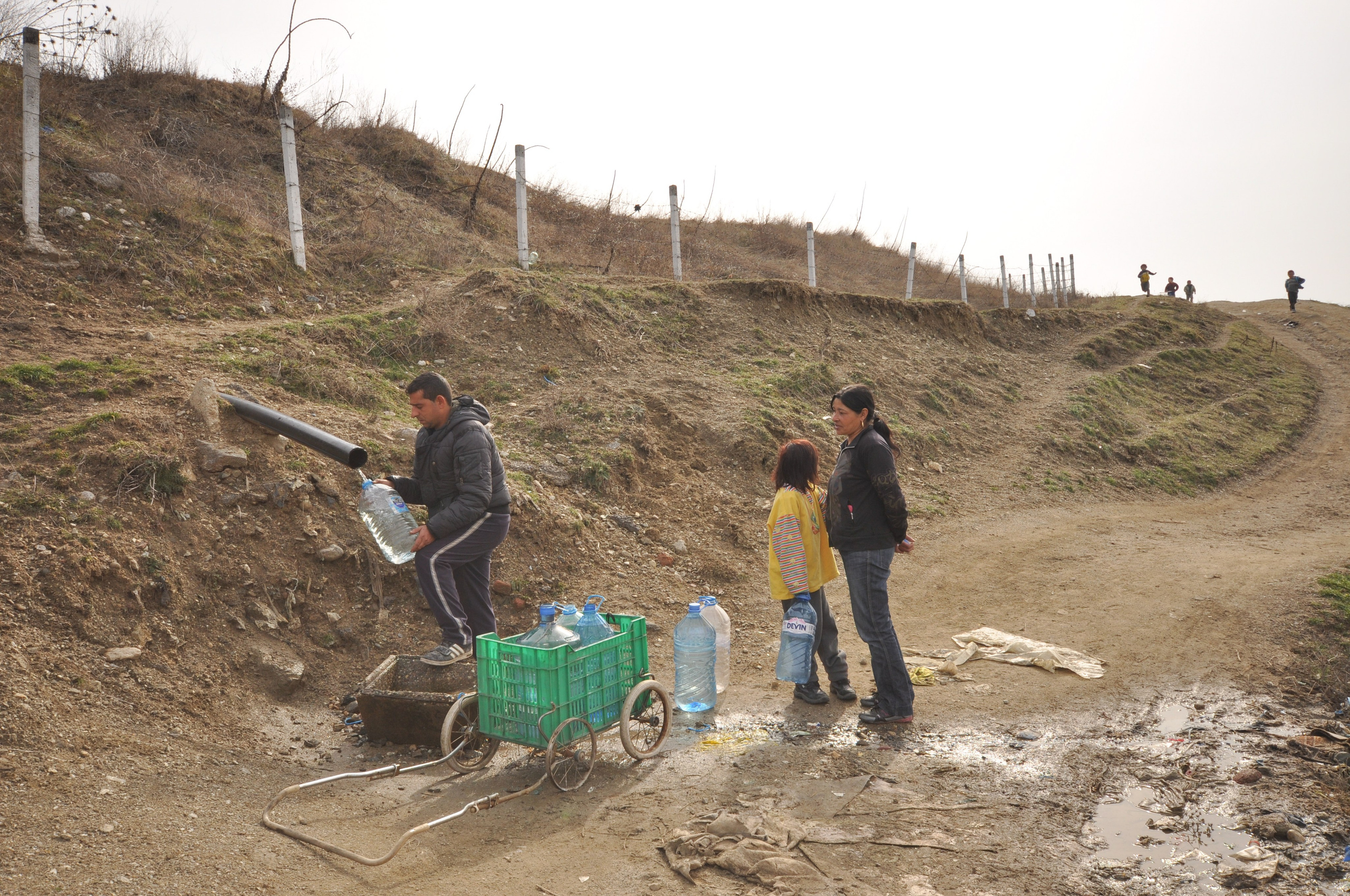 Hope for Cherry Blossom. Mayya Kelova artist