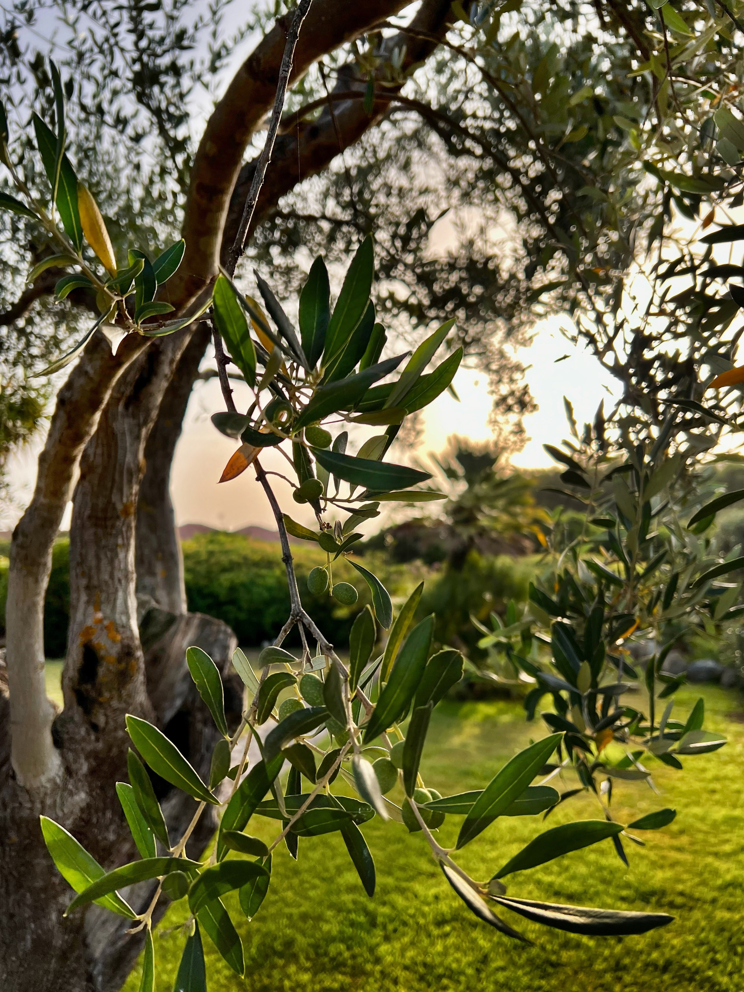 Fotografo d’interni a Cagliari Eugenia Murru