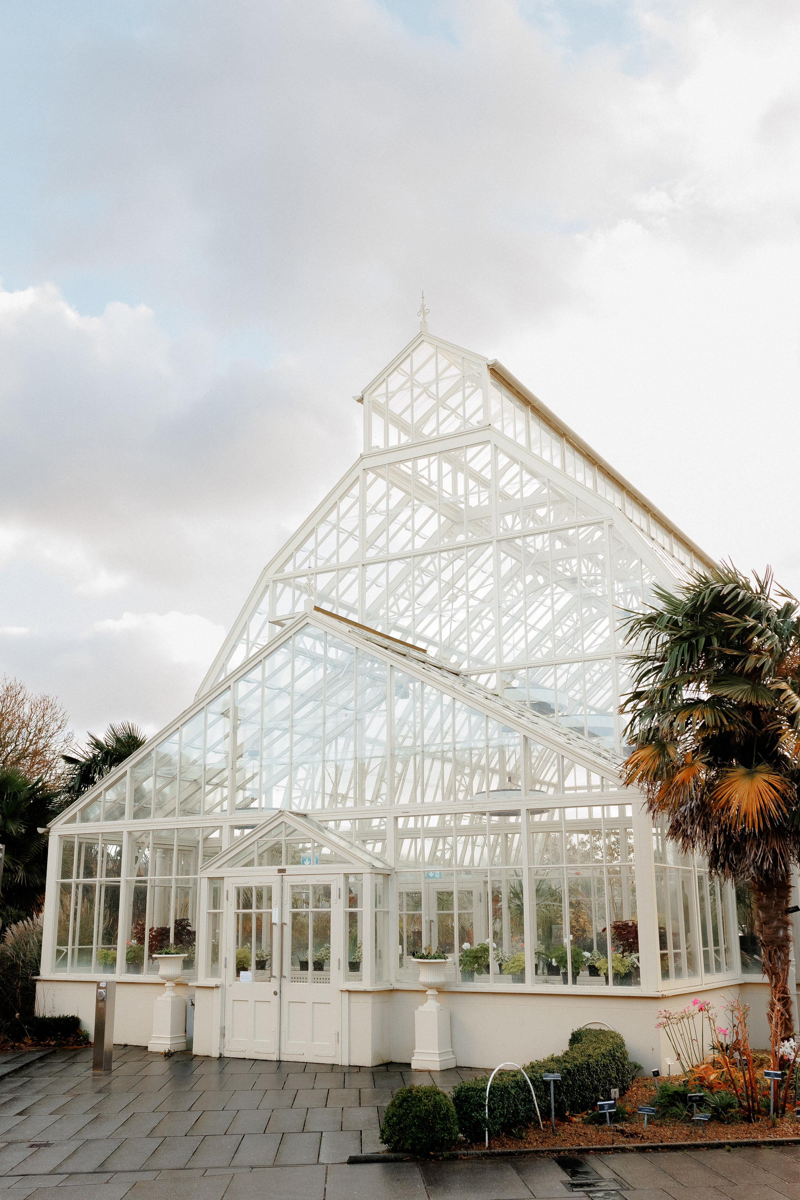 Cristian & Alina. Photographer in Dublin, Pavel