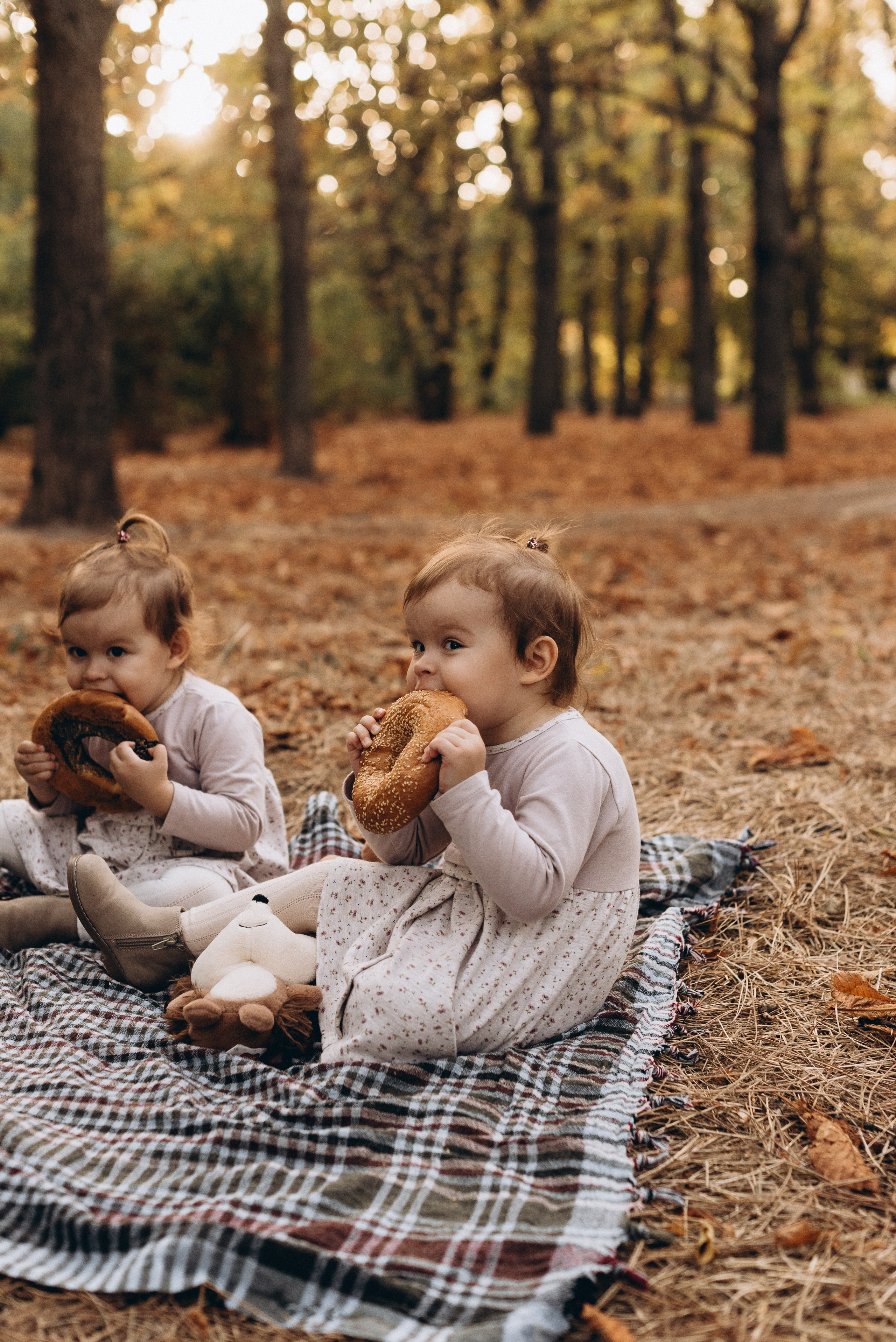 *. Wedding and family photographer San Diego