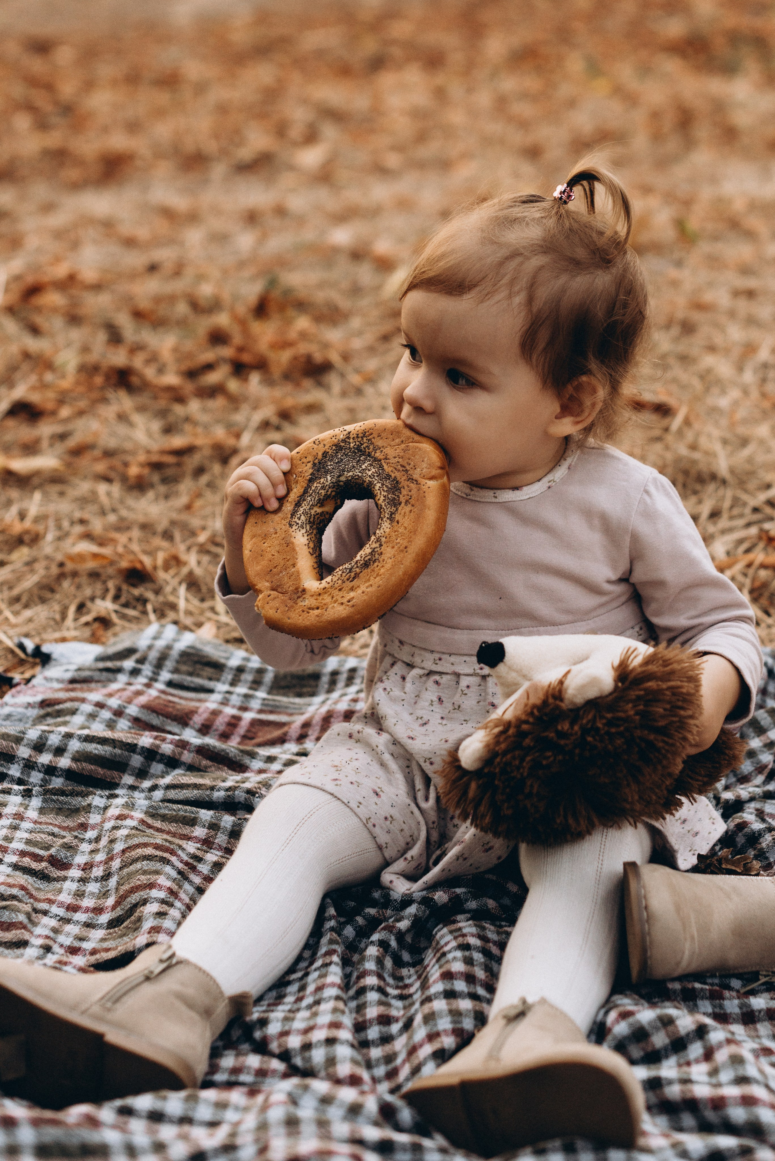 *. Wedding and family photographer San Diego