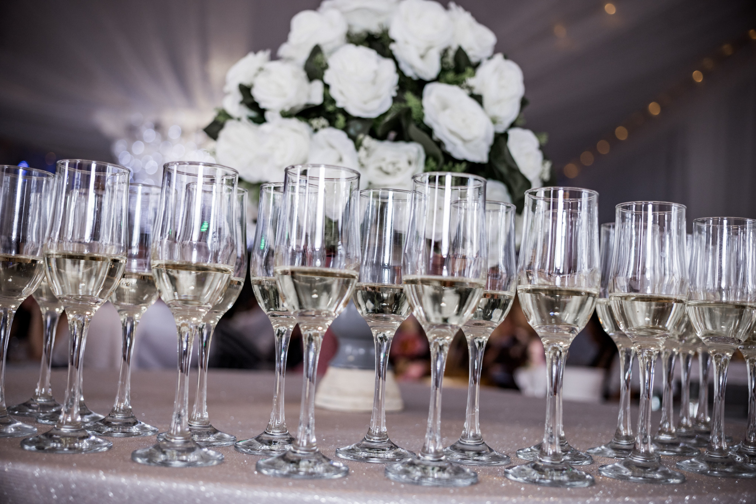 Pavel & Yveta. Svatební fotograf a kameraman v Česku a po celé Evropě — Teplice, Ústí nad Labem, Praha, Drážďany