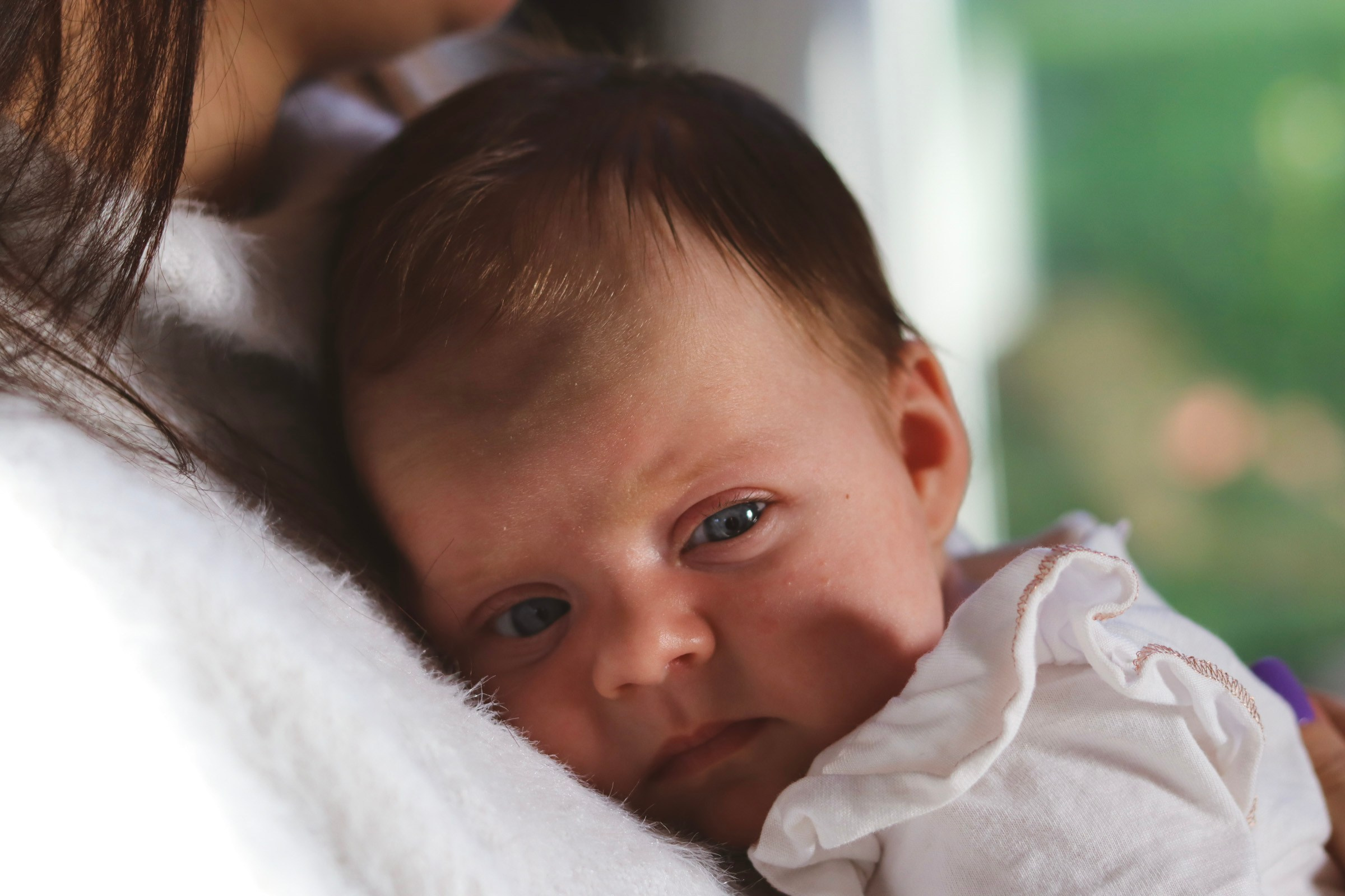 Without leaving home. Photographer Margarita Antonova in Naas, Co Kildare