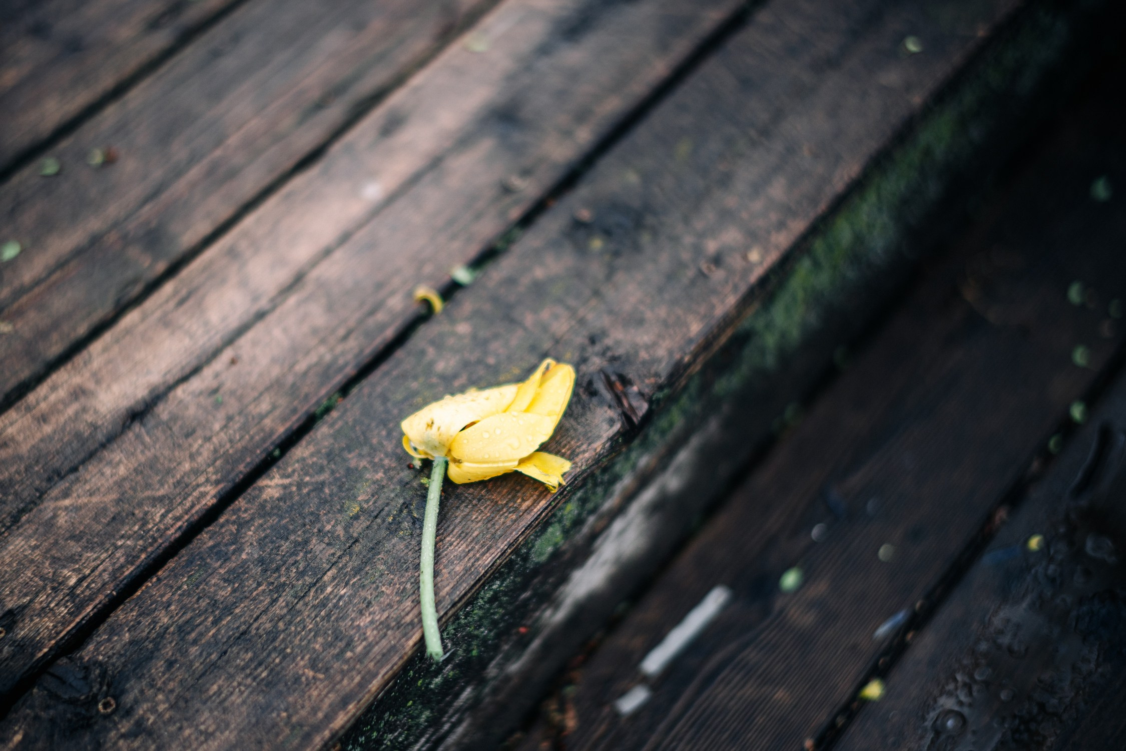 Things. ARTIGO Igor Rudyi Art Photography