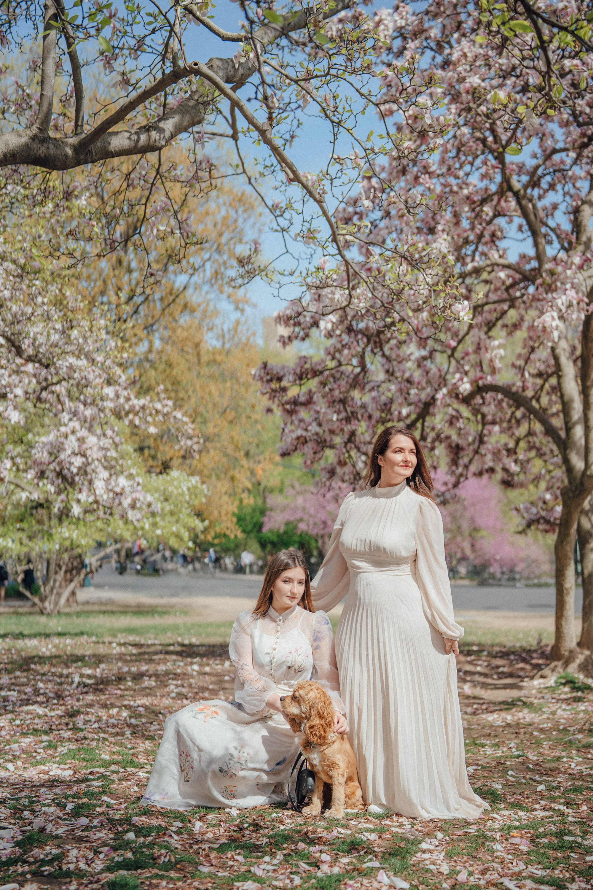 Blossom photoshoot. Portrait and wedding photographer in New York