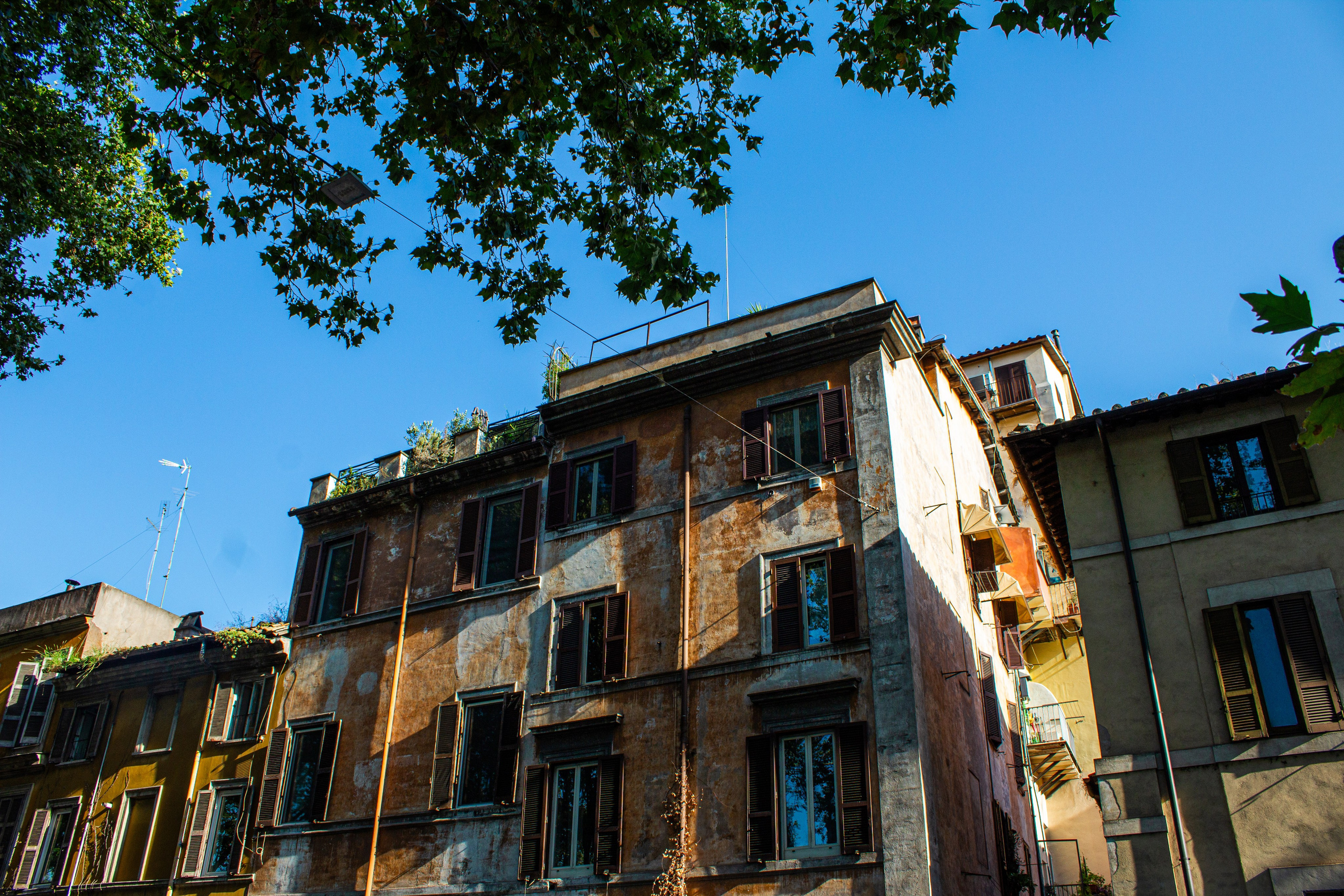 Street / Travel. MURHA VISUALS
