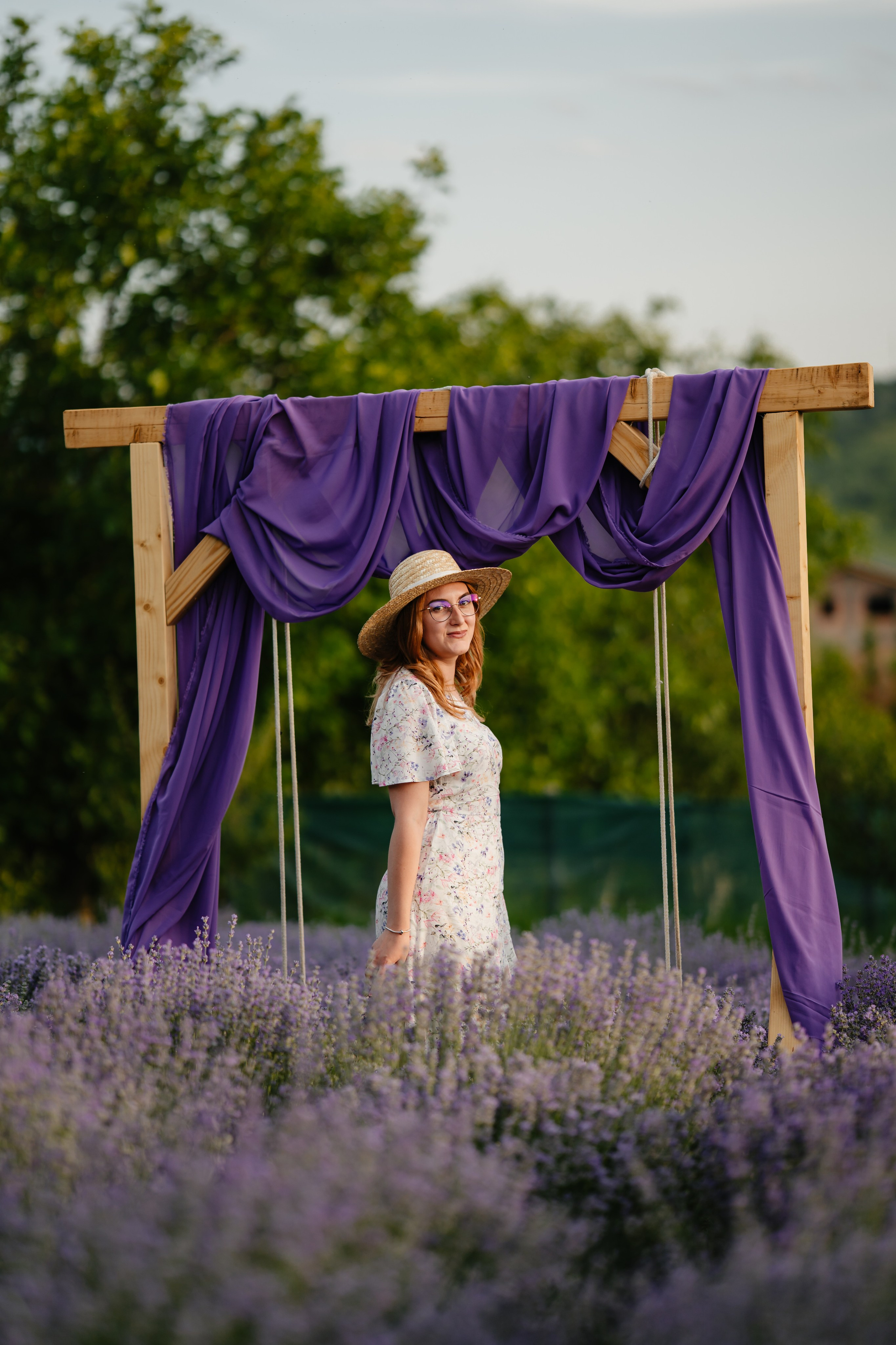Lavanda. Daniel Films