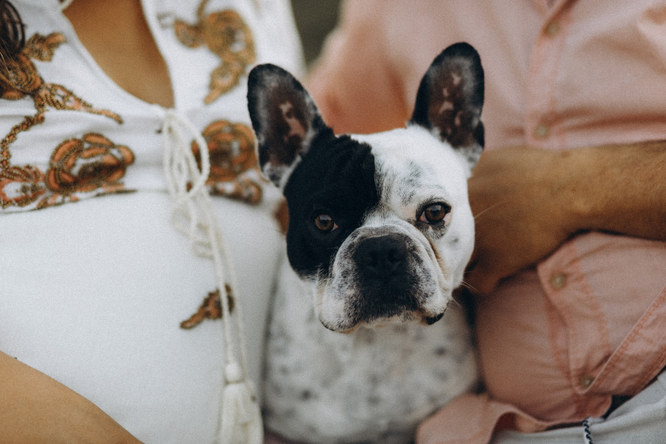 Беременность. Главная