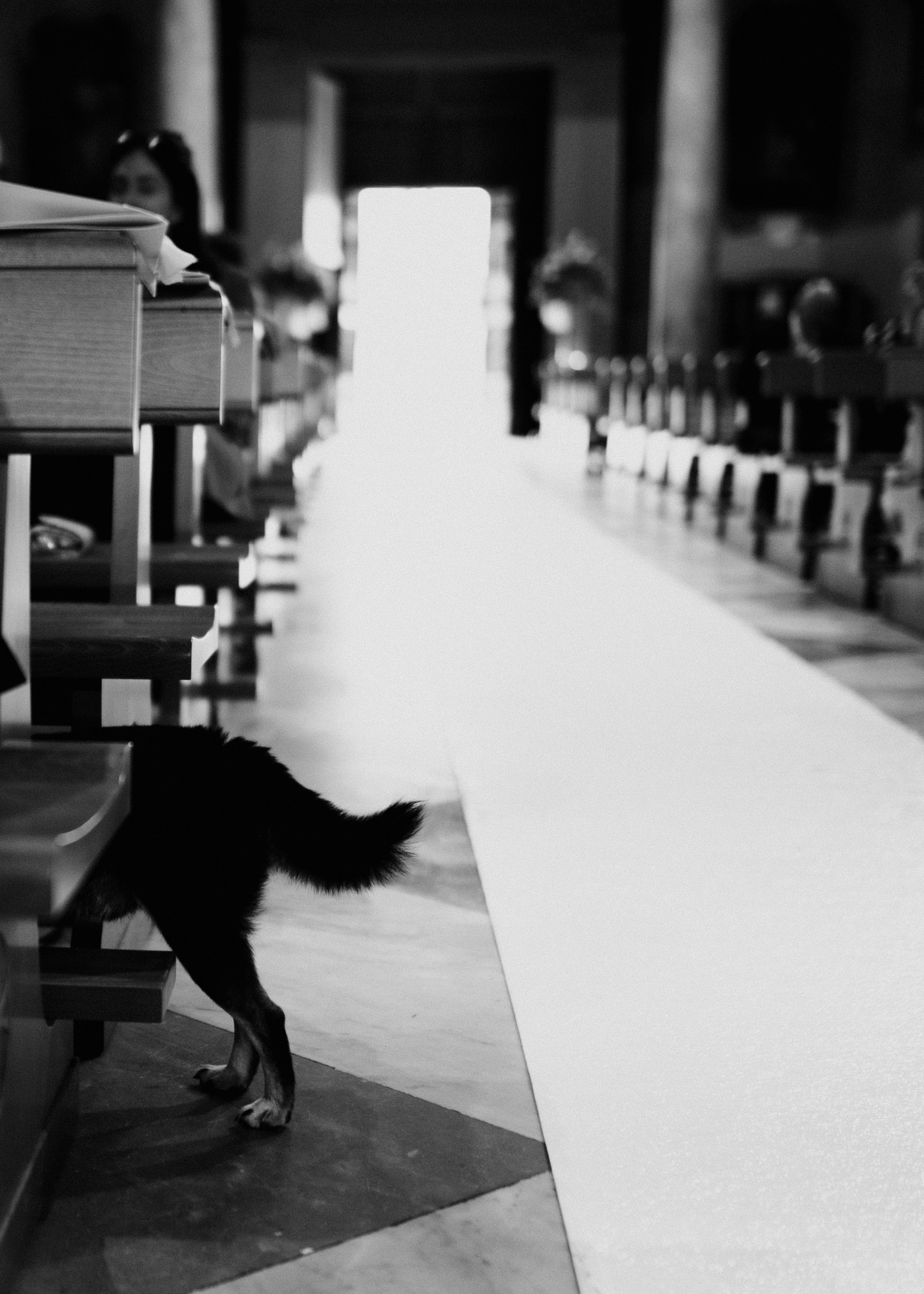 Domenico Svetlana. Дарина Иванова, лайфстайл фотограф в Неаполе. Портреты, свадьбы