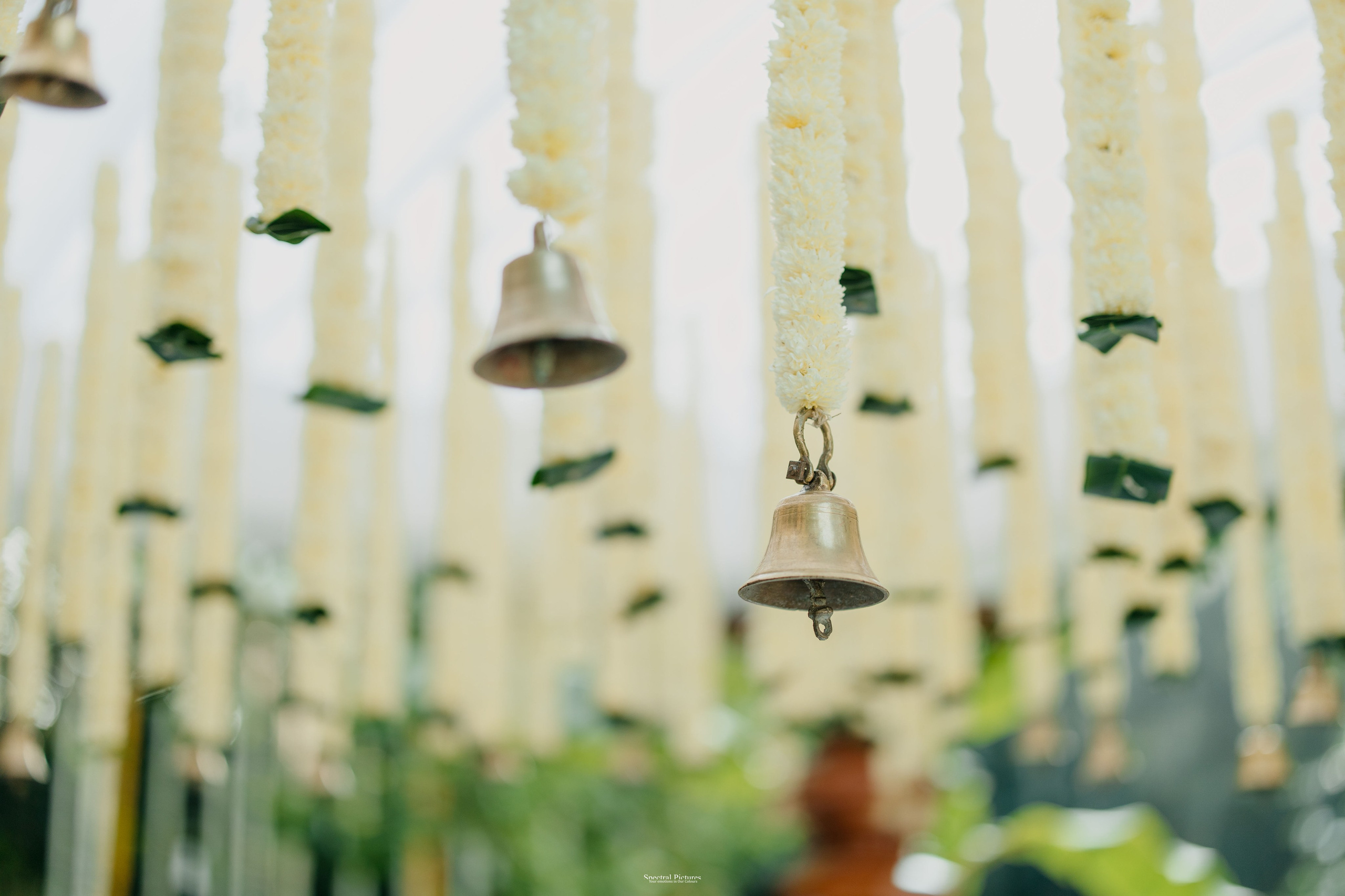 “Just Outside That Class…” | Vedanti & Omkar