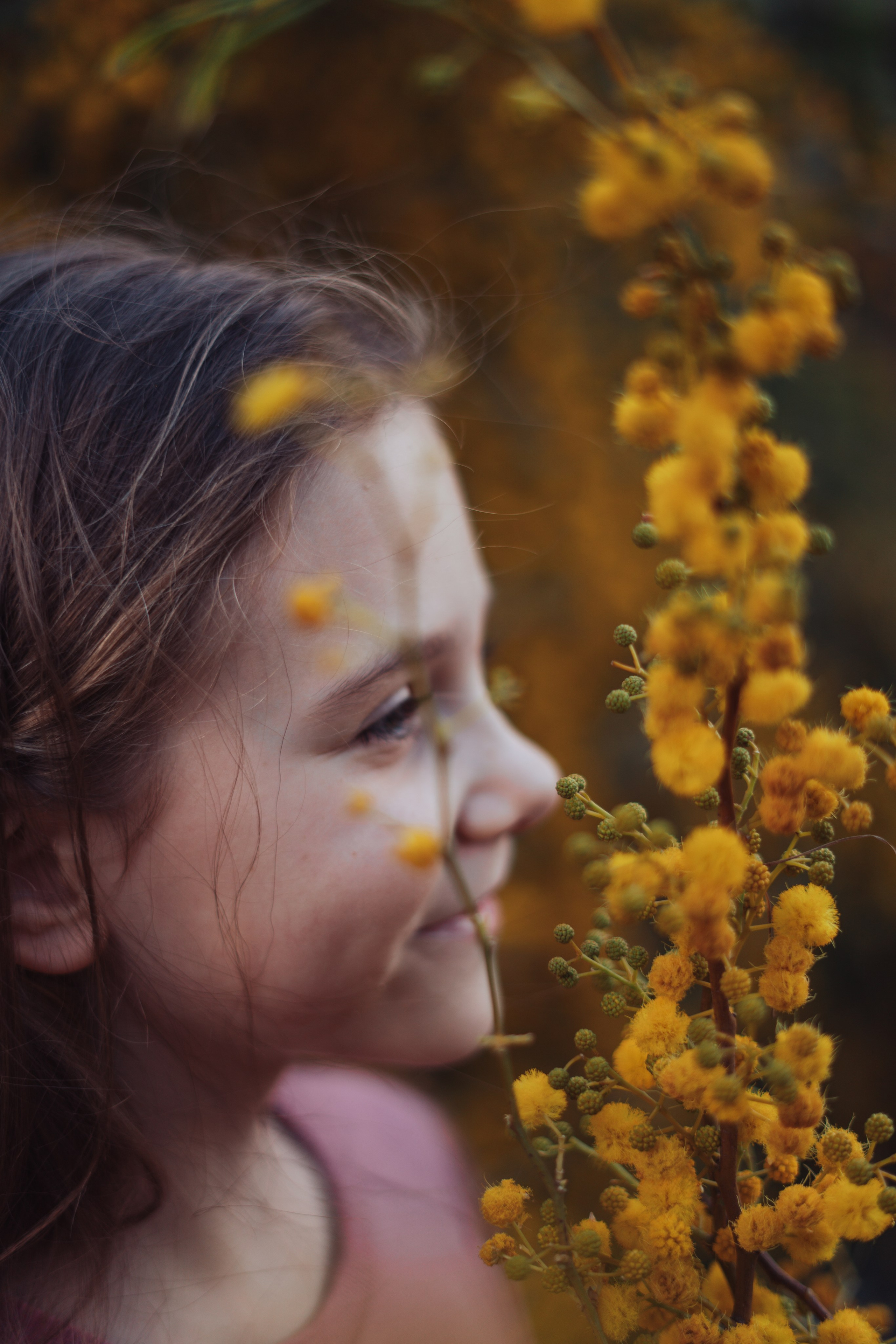 Мимоза. Анастасия Благова — Твой фотограф в Малаге 🇪🇸