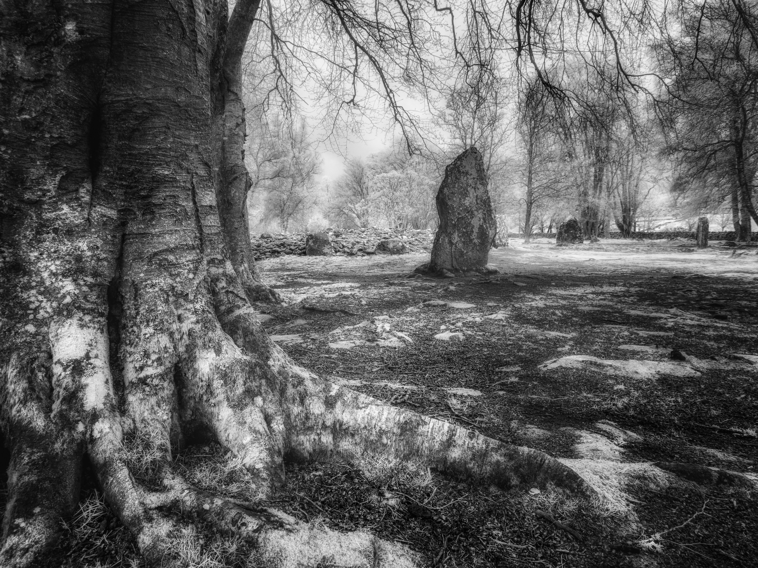 Ancient Sites. Infrared Scotland