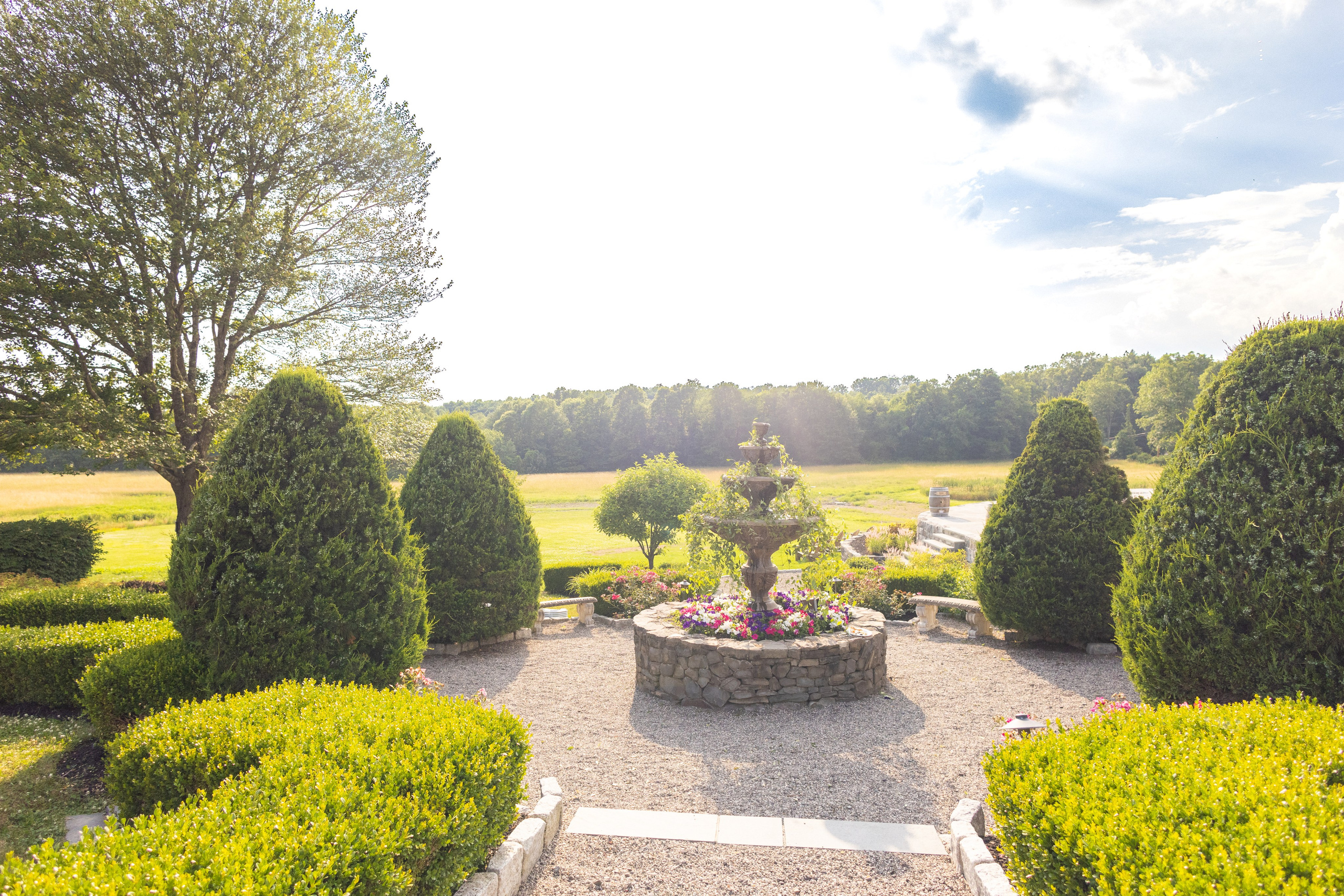 Angelica & Conor. Wedding Photo & Video