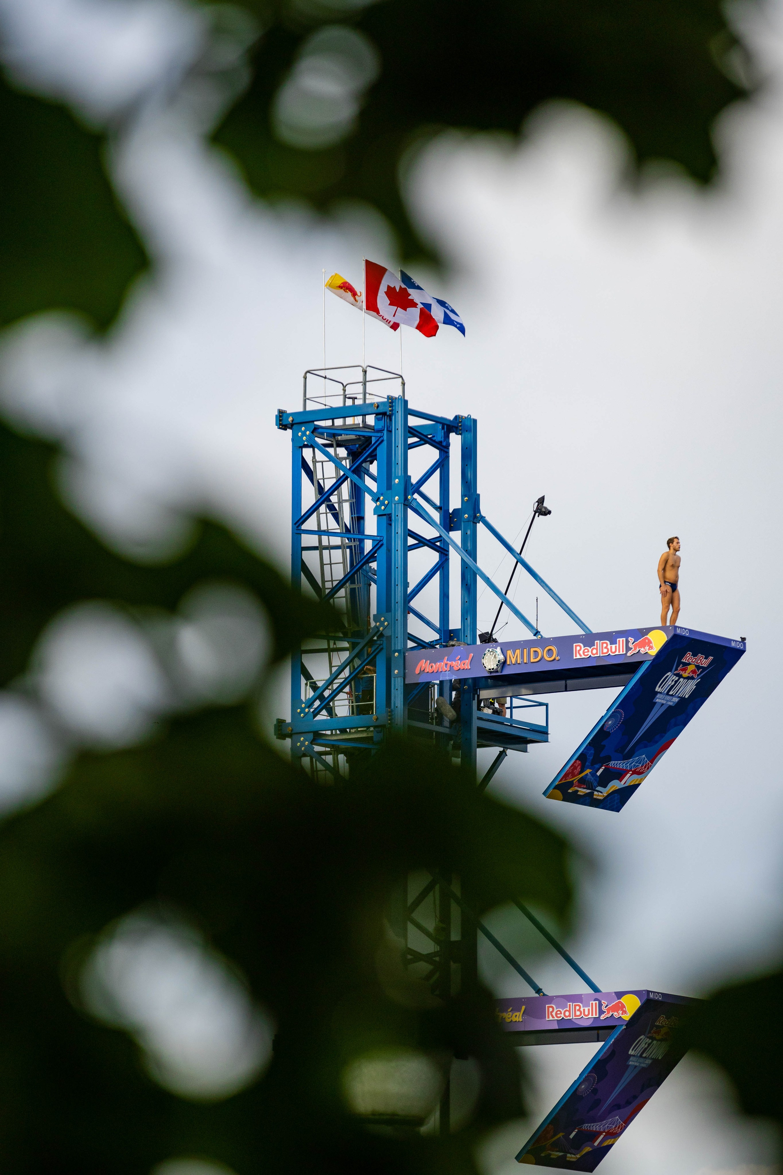 REDBULL DIVE MONTREAL