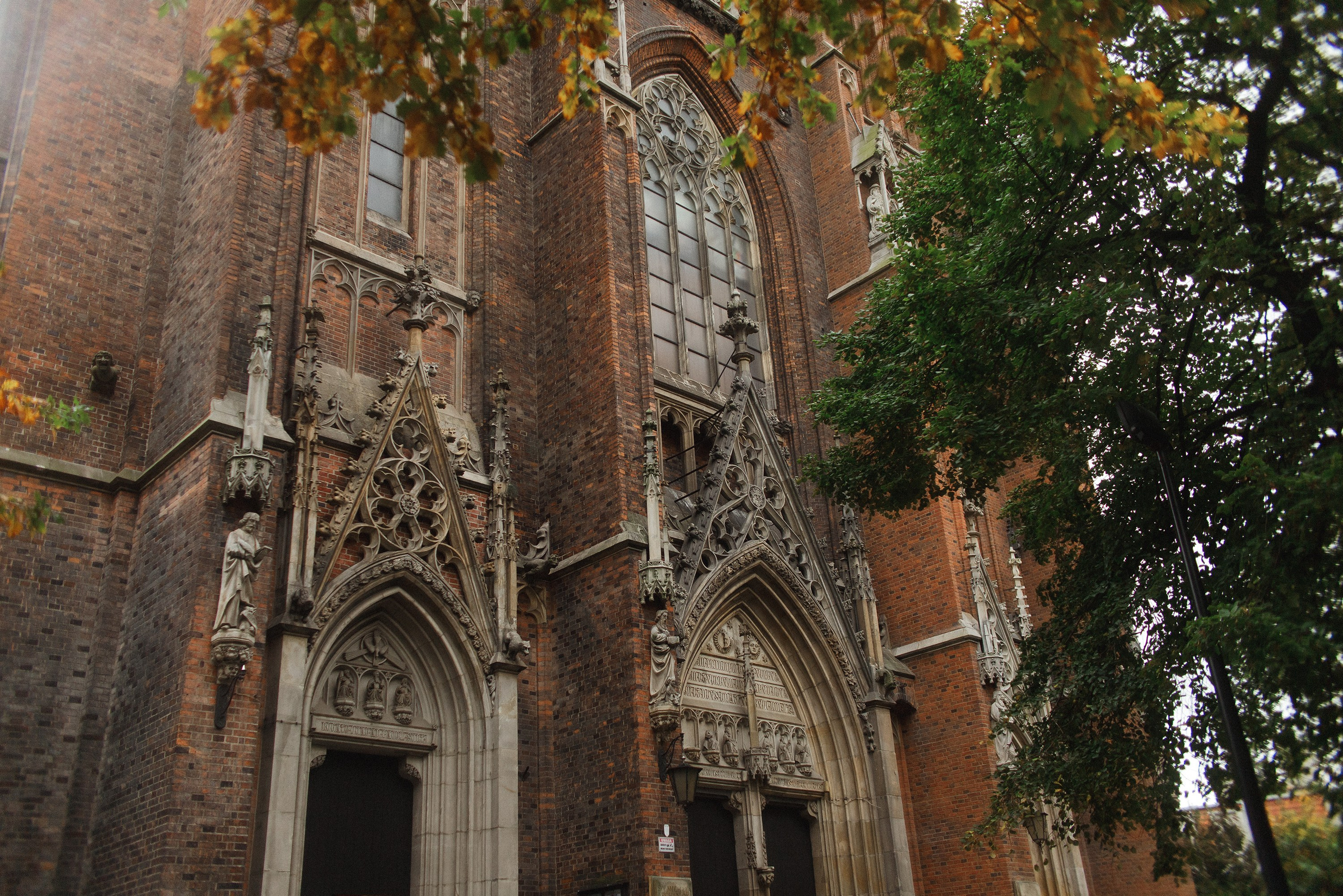 Nastya. Kaja | fotograf psów we Wrocławiu