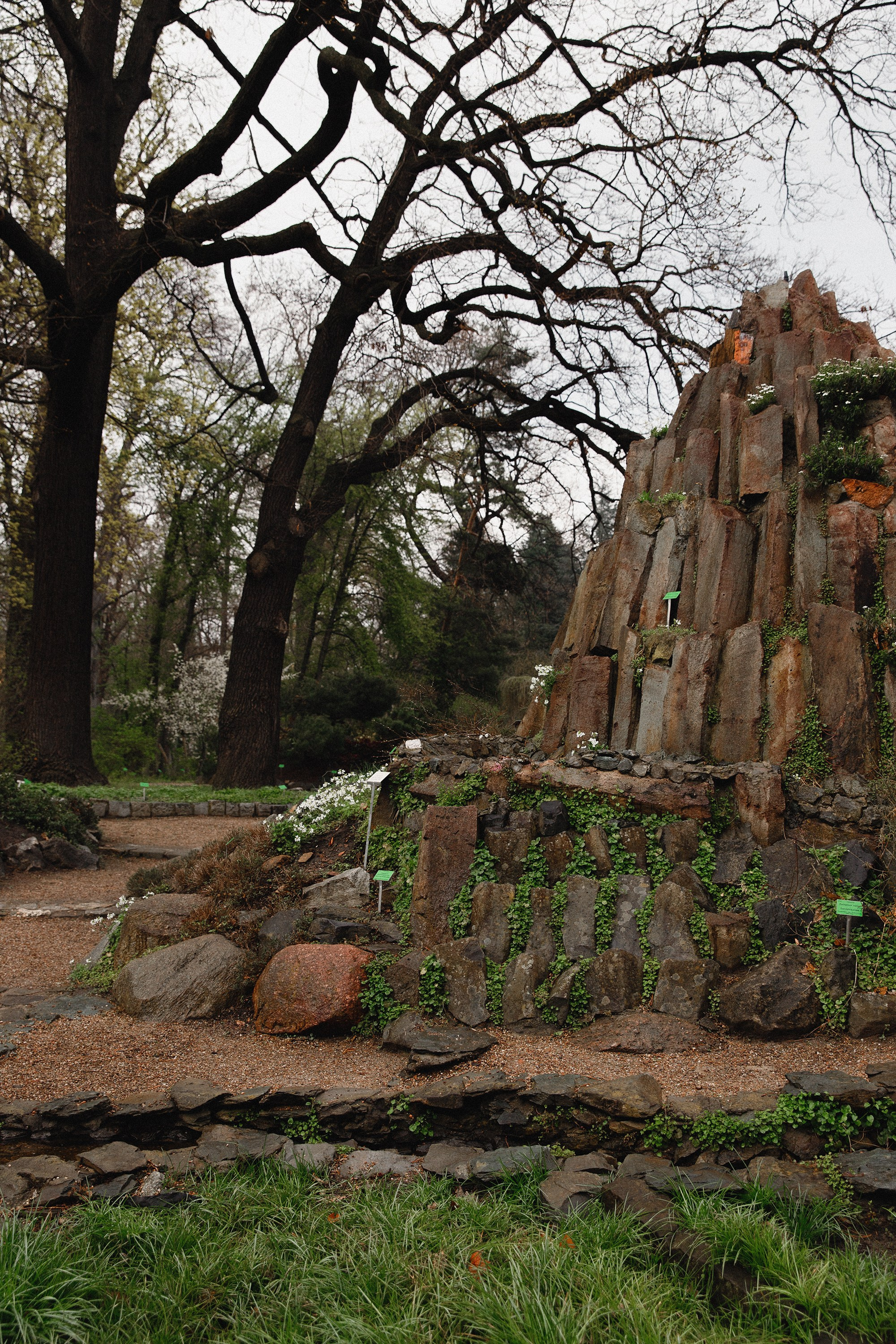 Botanical garden in Wroclaw. Kaja | fotograf we Wrocławiu | ludzie i psy