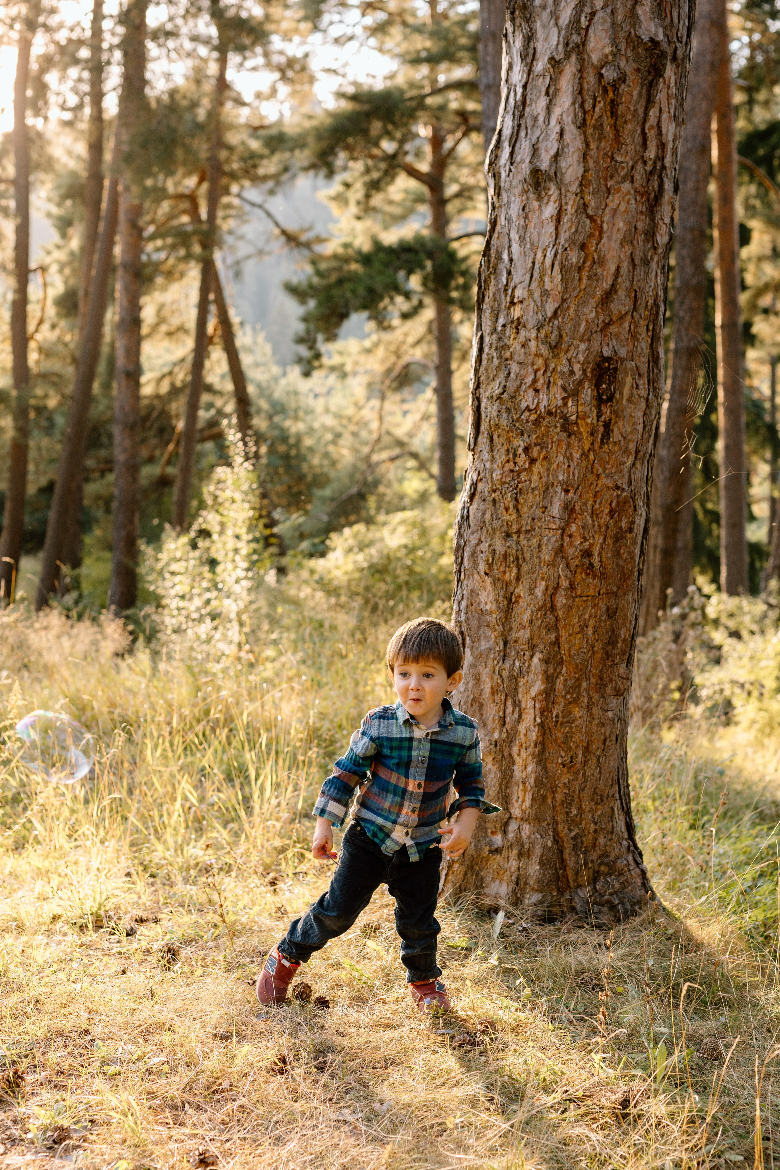 Sanziana, Daniel & Alexandru — Family. Main