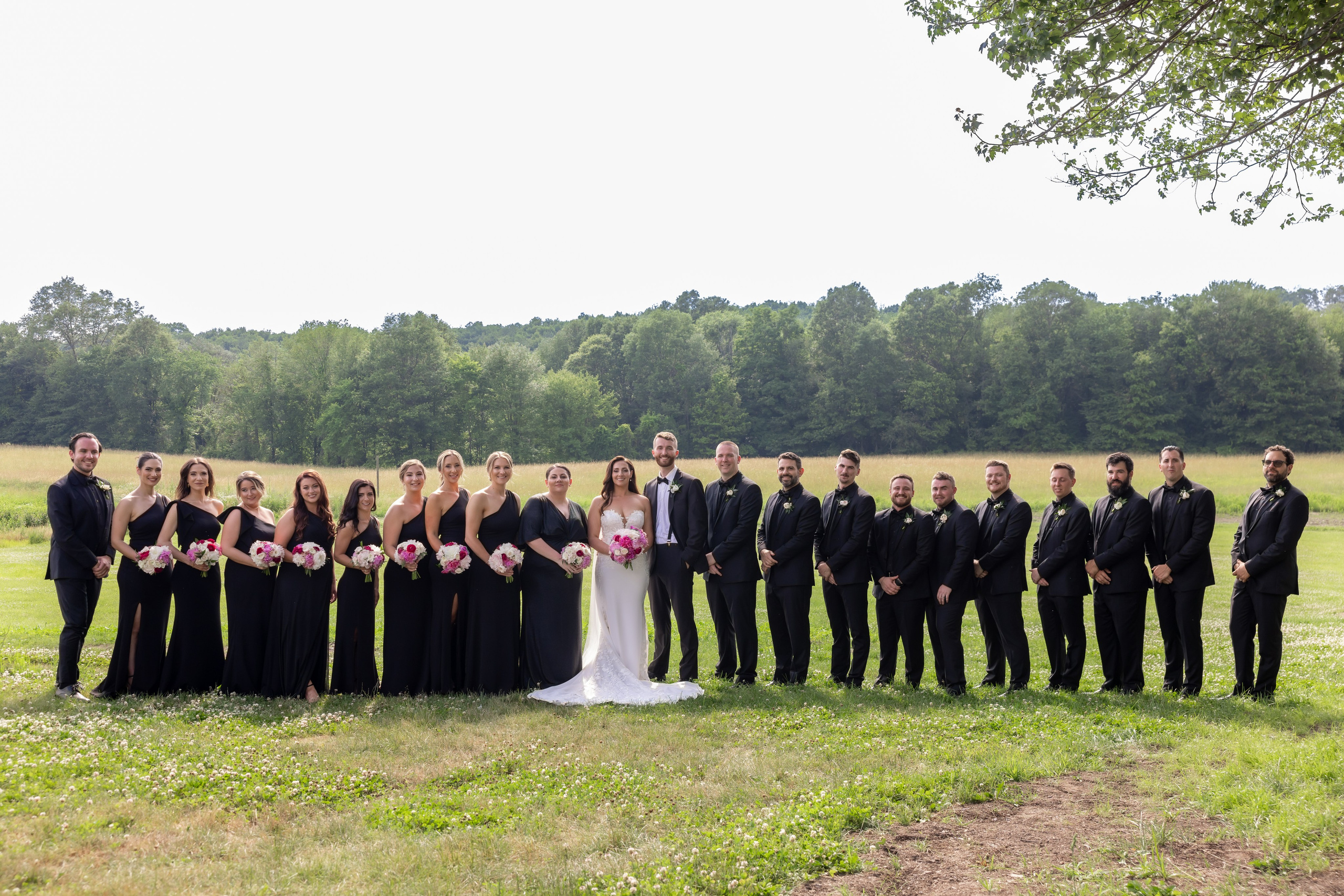 Angelica & Conor. Wedding Photo & Video