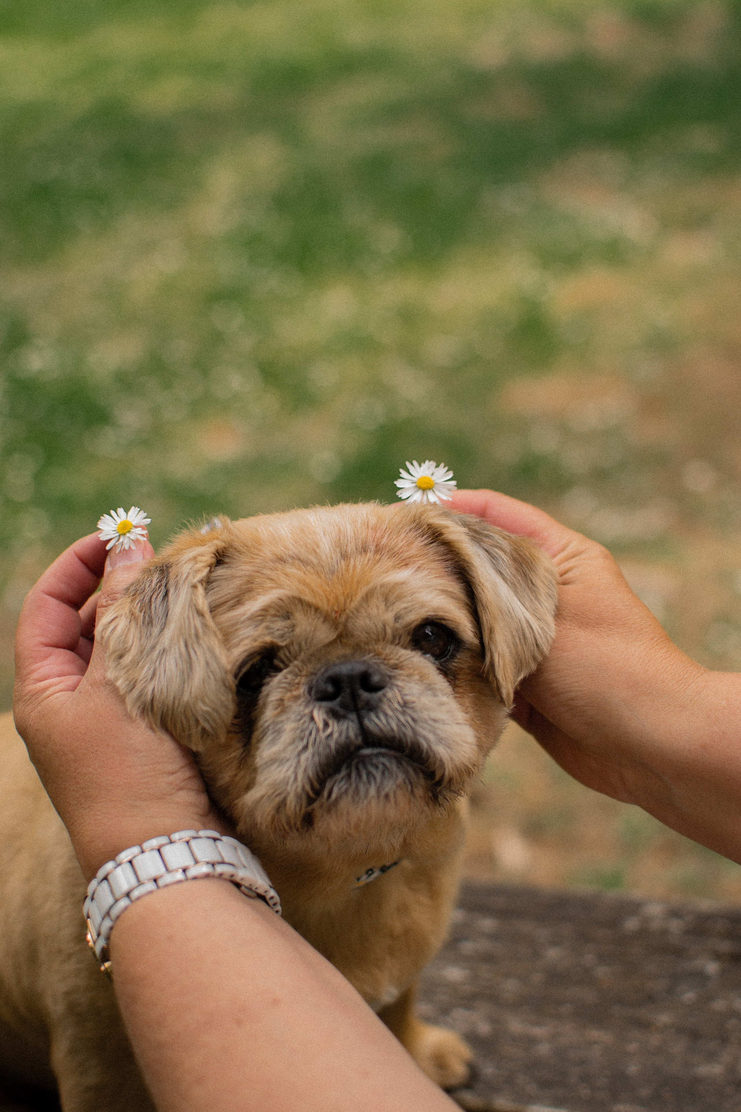 Sandrine et Lolly. Photographe animalier à Paris Anna Pereira