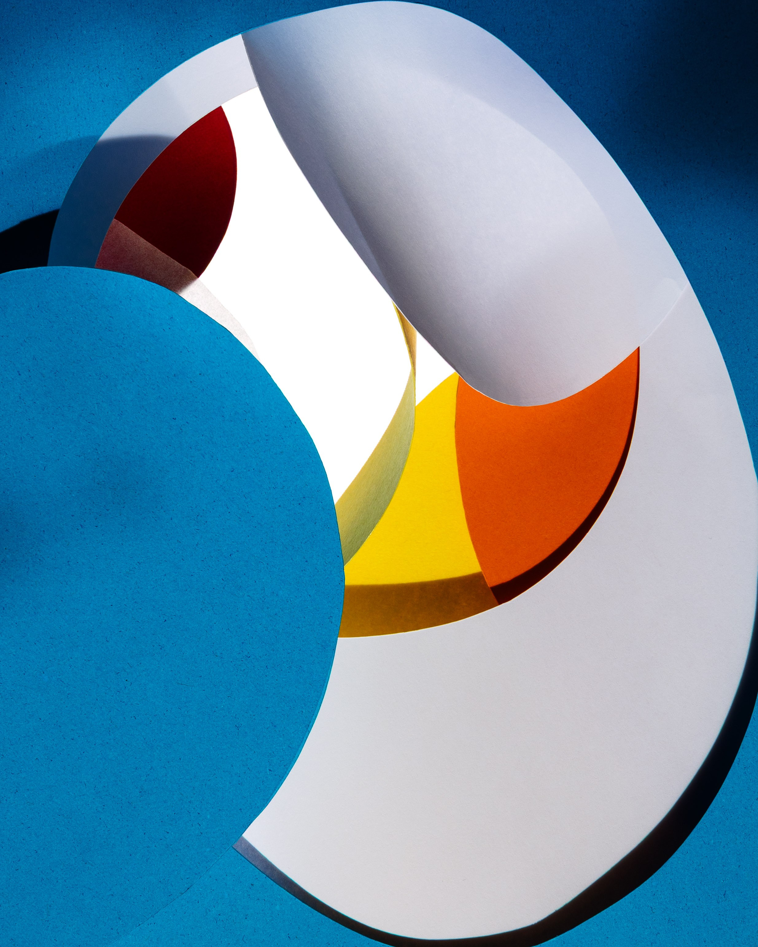 Chroma. Marina Tsaregorodtseva Fine Art photographer, London