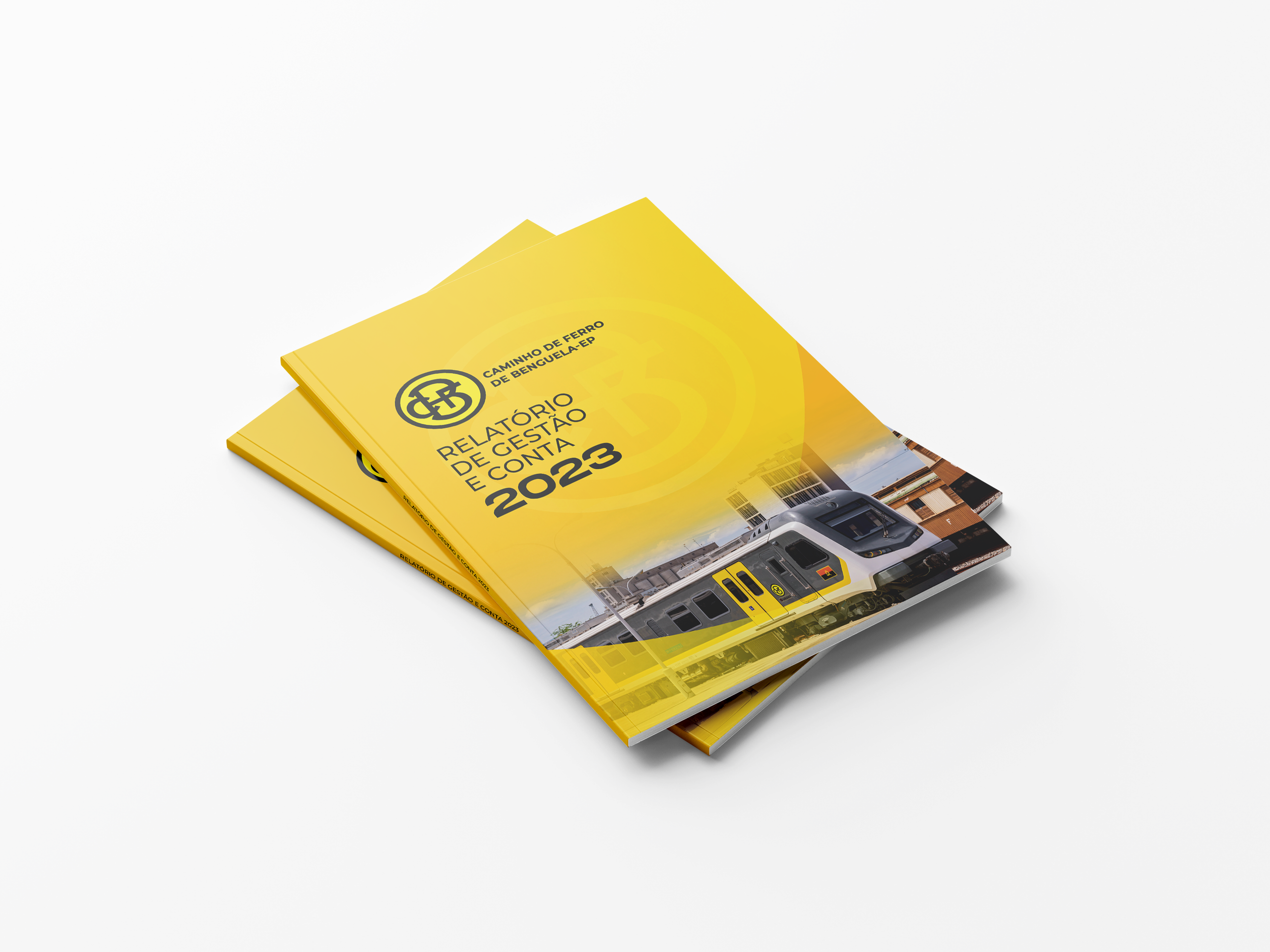 Relatório de Gestão e Contas — CFB