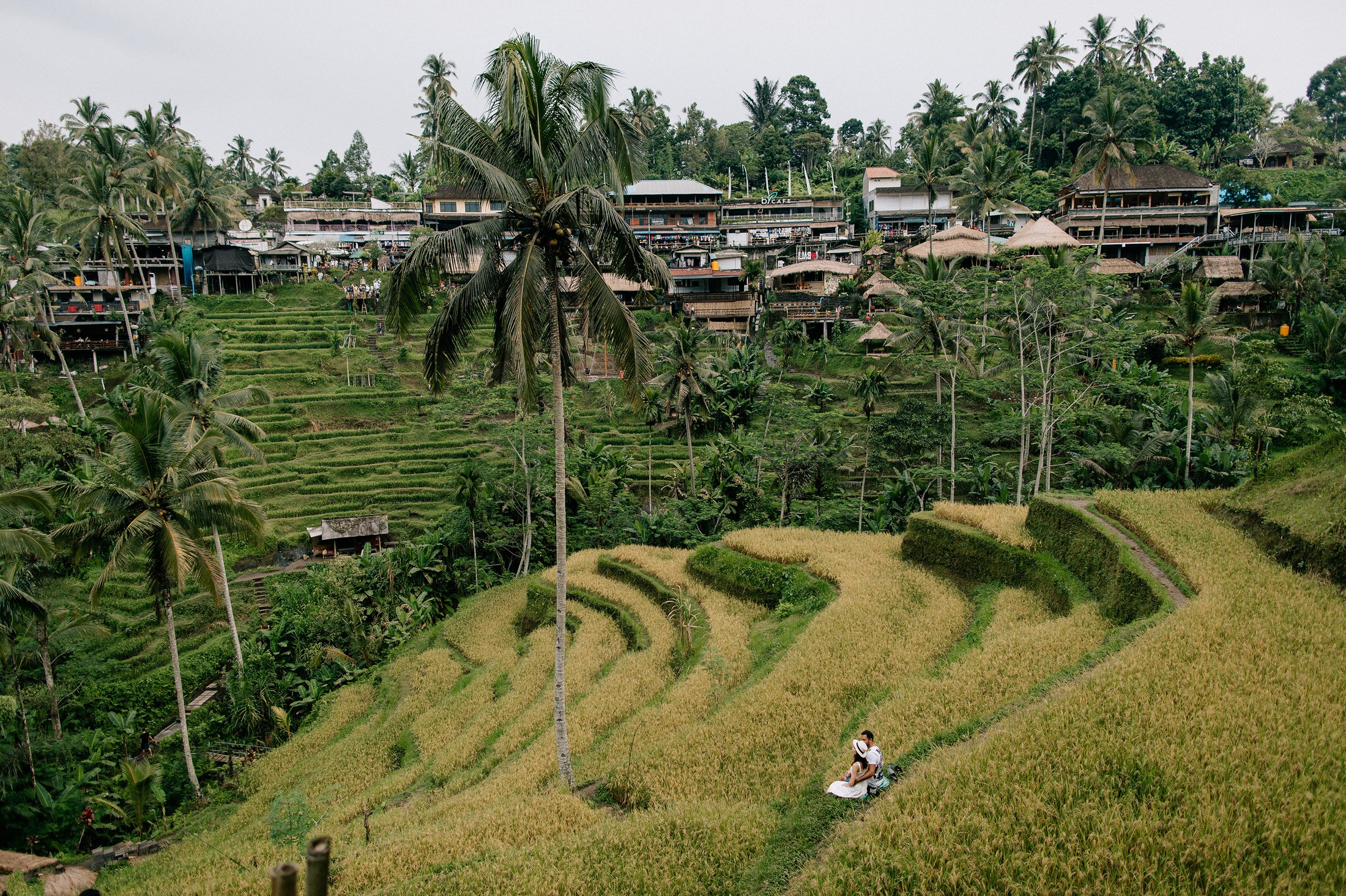 Hotel + Rice terraces. Getitfeel — Aesthetic Photography and Videography
