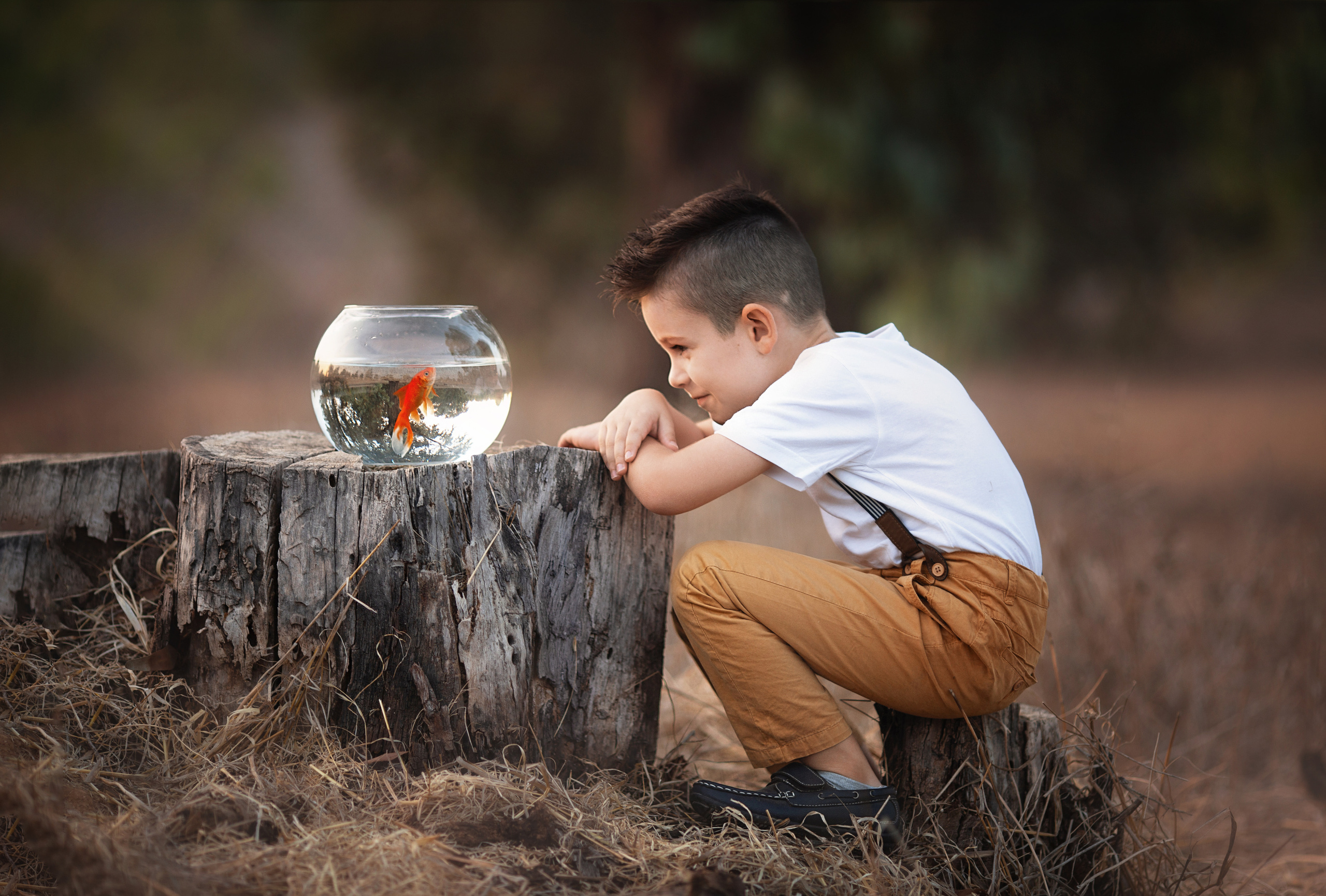 Cildren. Семейный детский фотограф Бляхер Ирина в Израиле