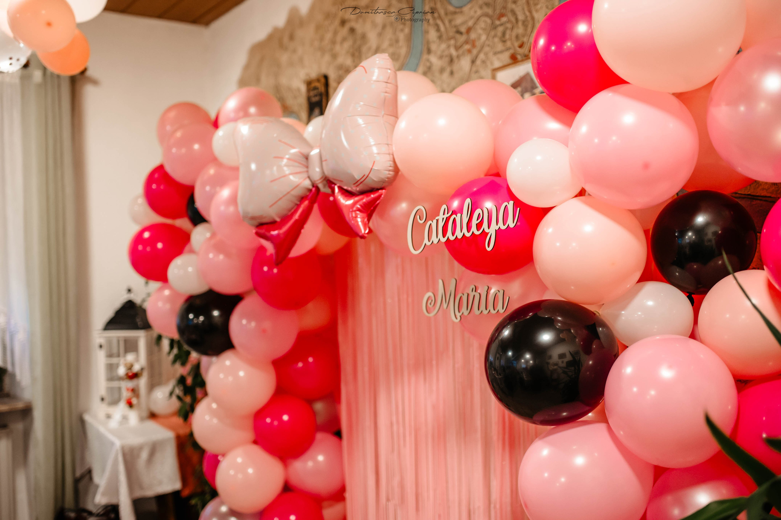 Cataleya Maria. Dumitrasca Ciprian Photography