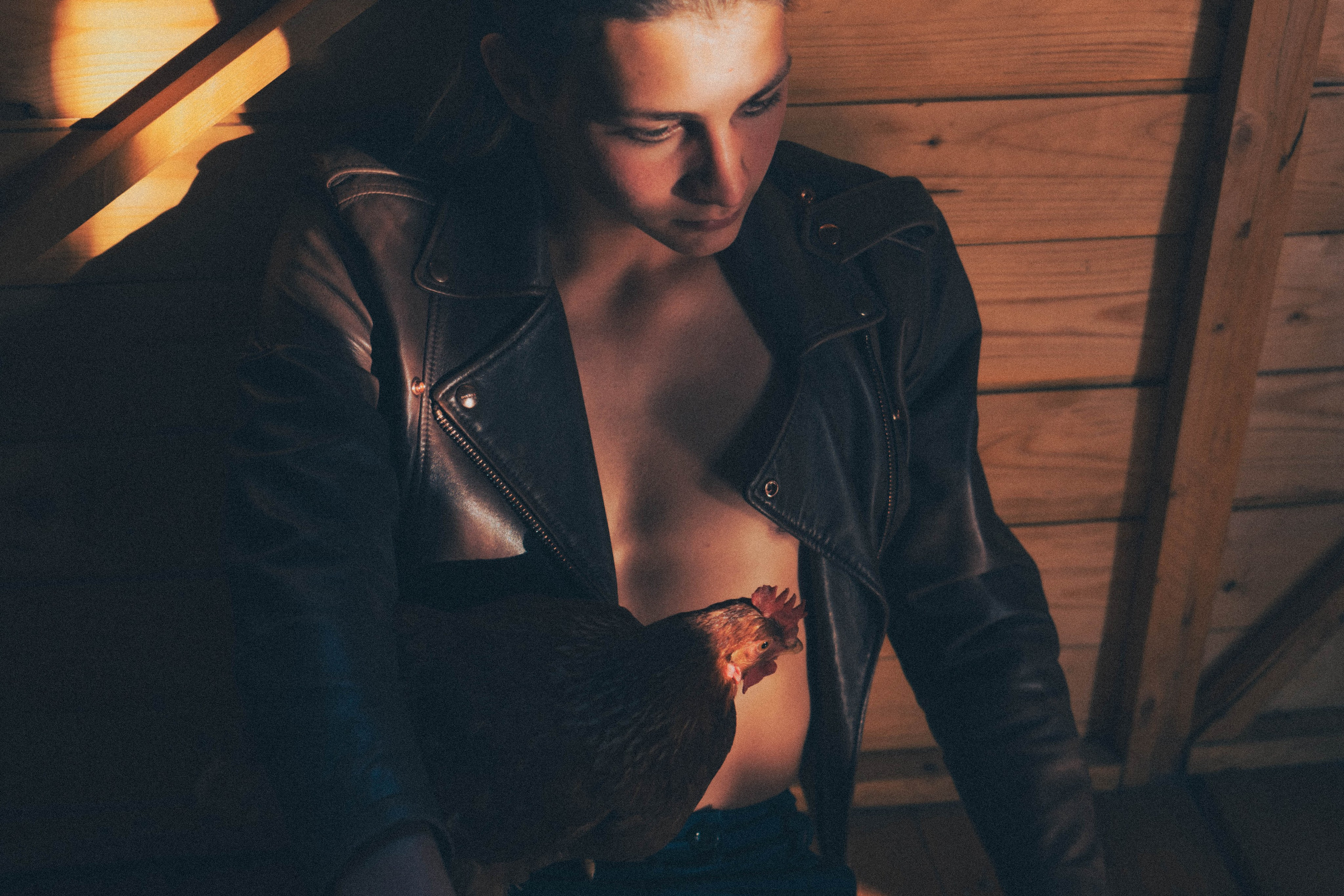 Niko. Alba del Norte Studio